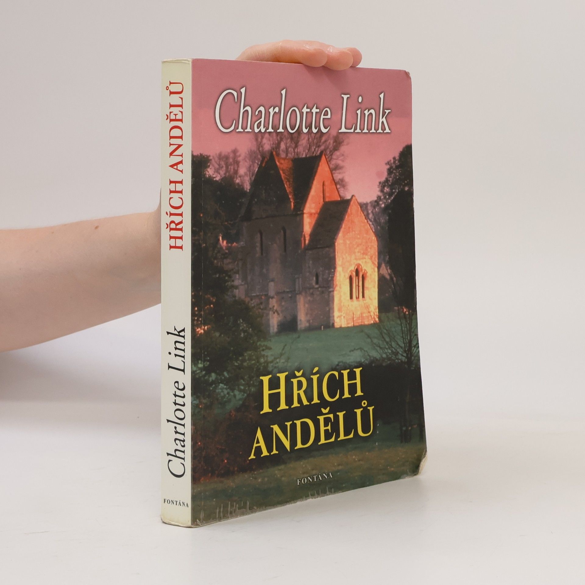 Charlotte Link Hřích andělů