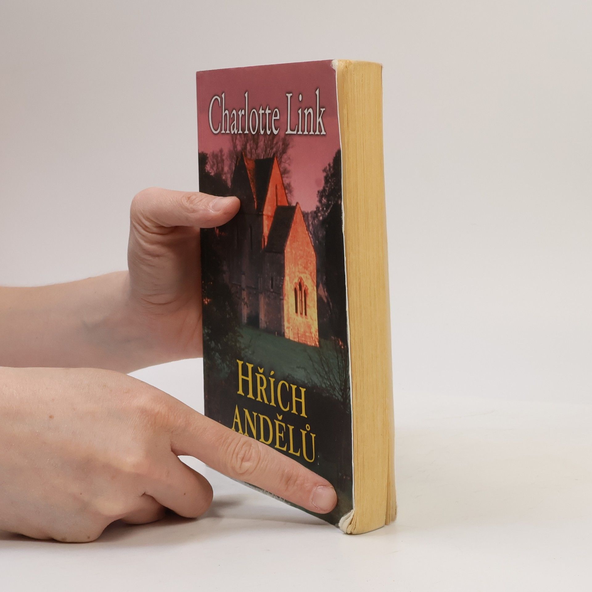 Charlotte Link Hřích andělů