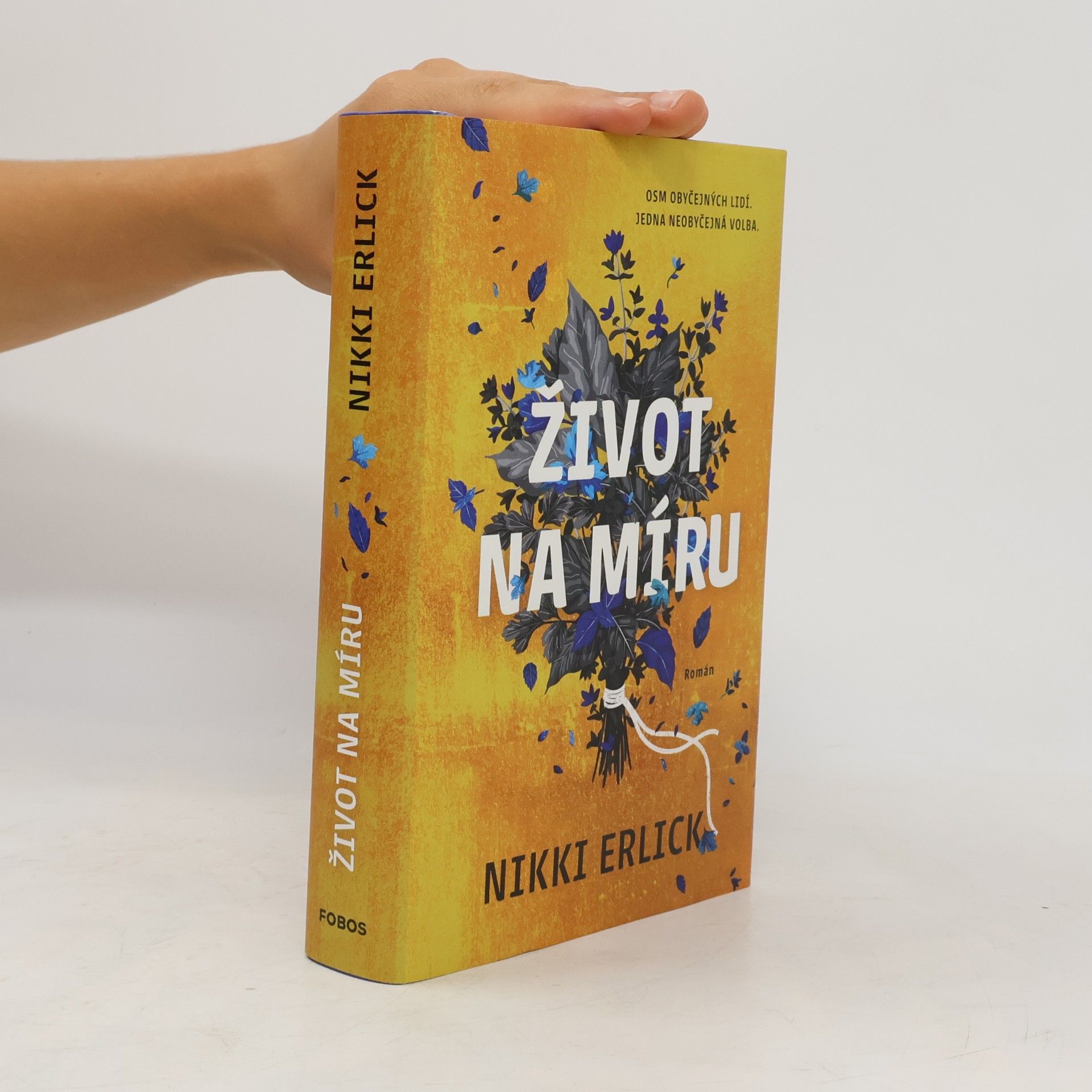 Nikki Erlick Život na míru