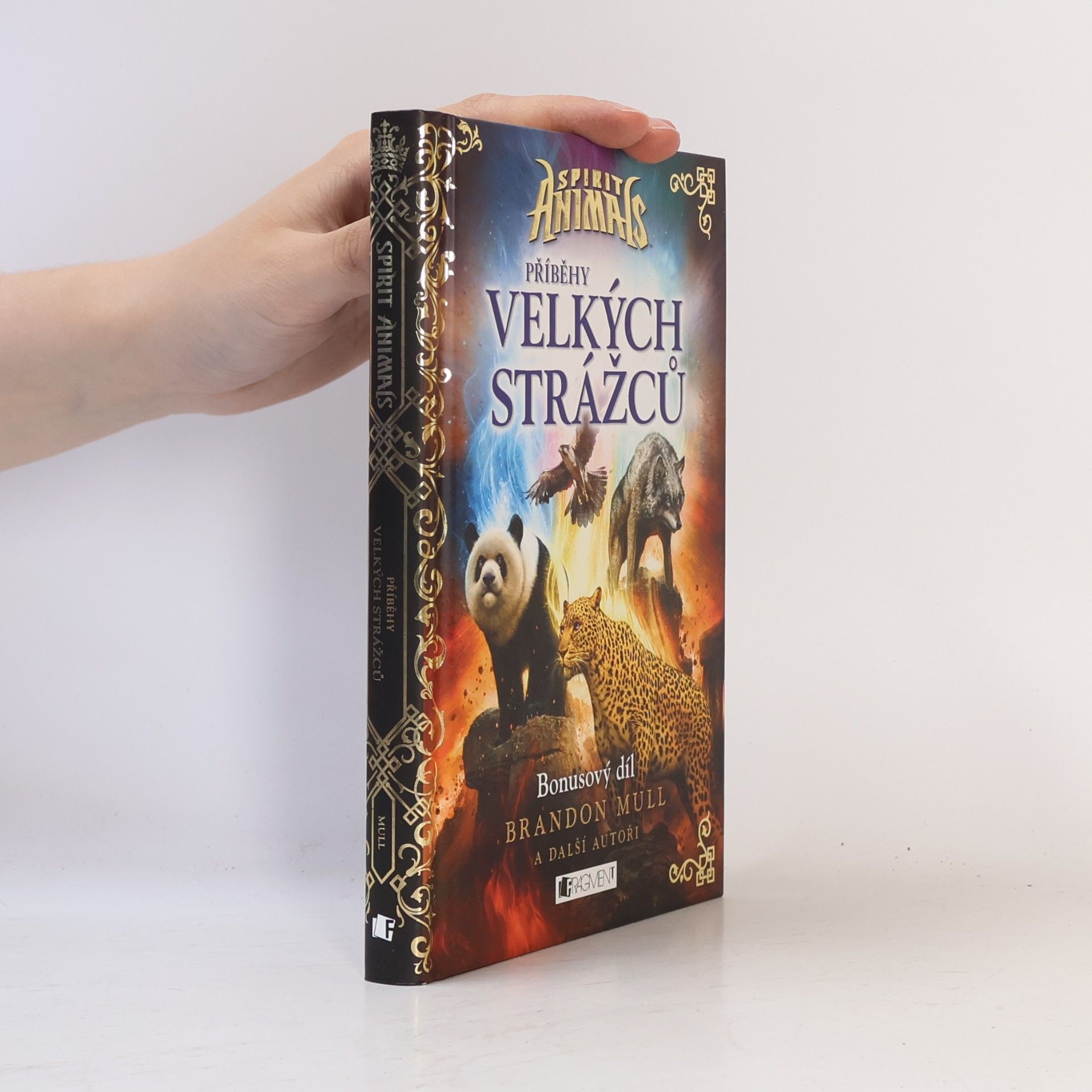 Emily Seife Příběhy Velkých strážců