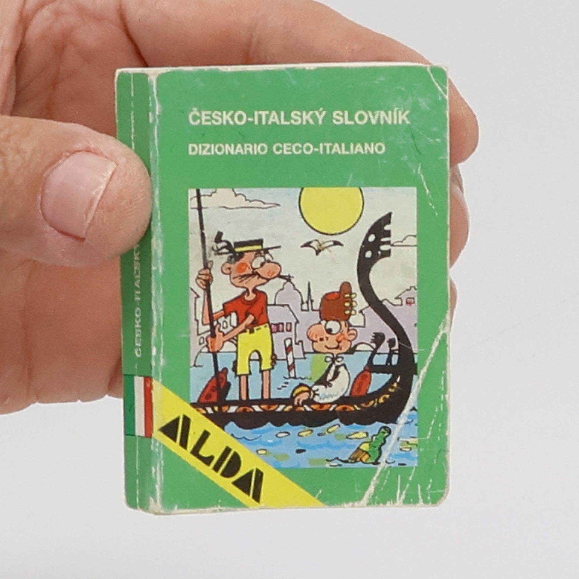 Kolektiv autorů Česko-italský slovník = Dizionario ceco-italiano Dizionario ceco-italiano