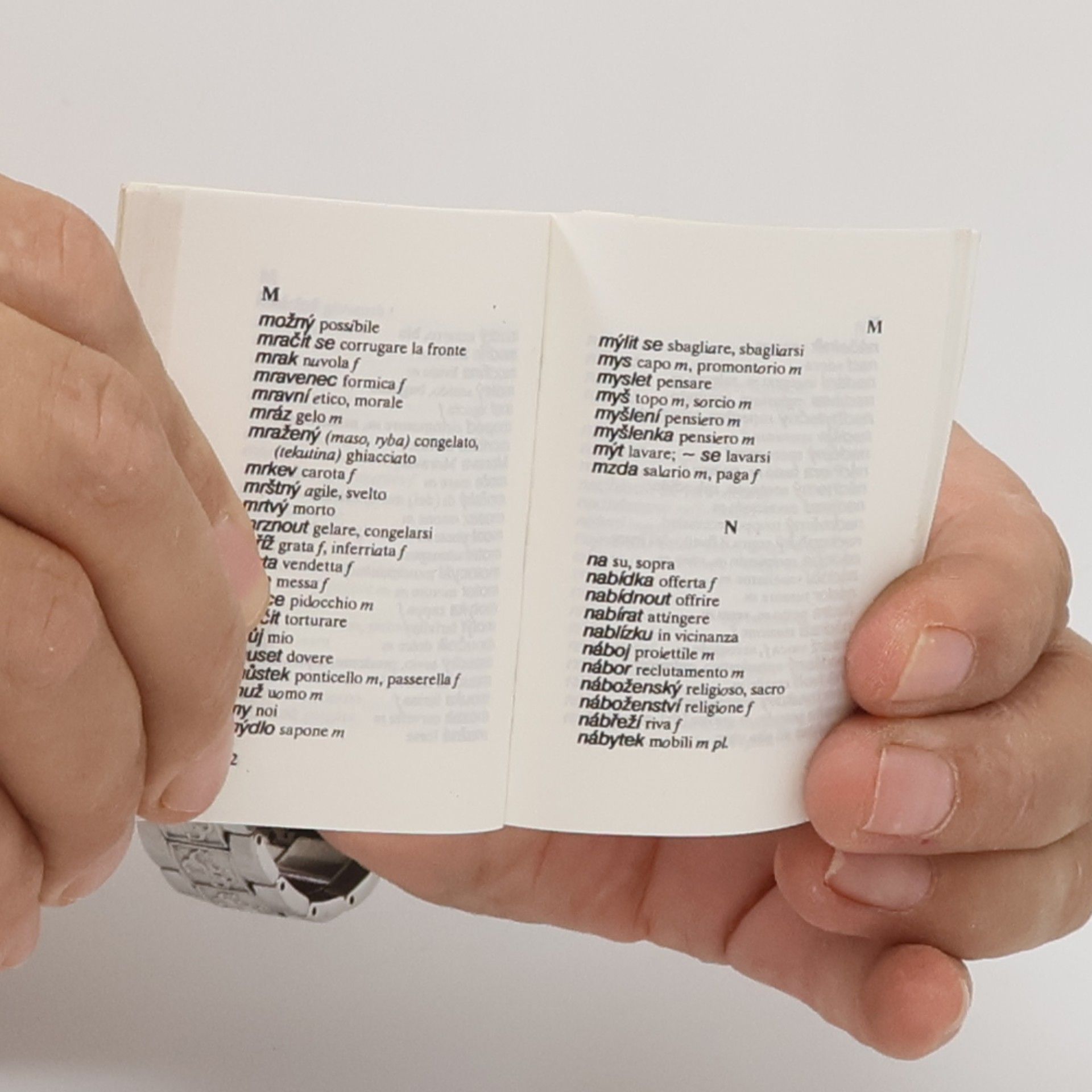 Kolektiv autorů Česko-italský slovník = Dizionario ceco-italiano Dizionario ceco-italiano