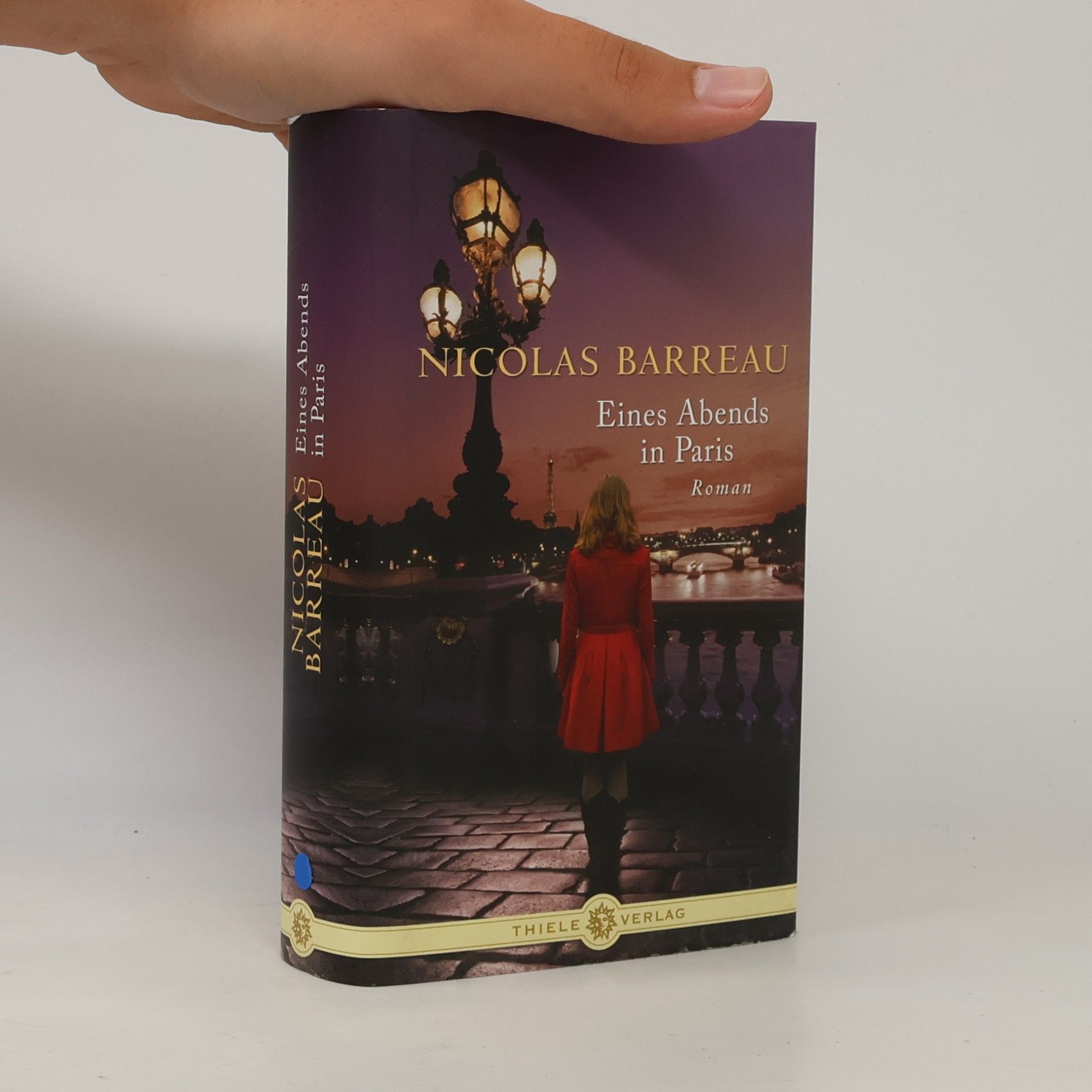 Nicolas Barreau Eines Abends in Paris