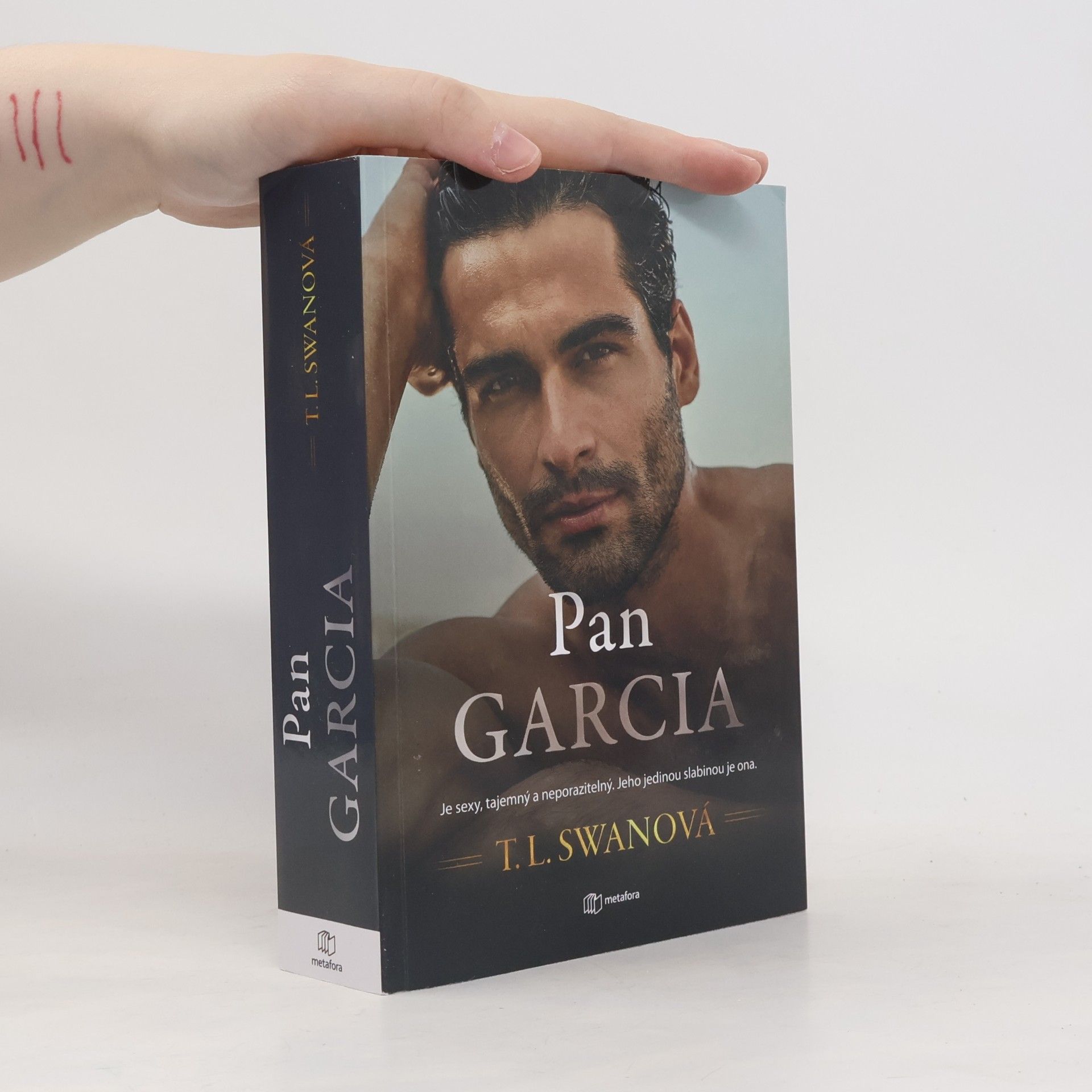 Pan Garcia