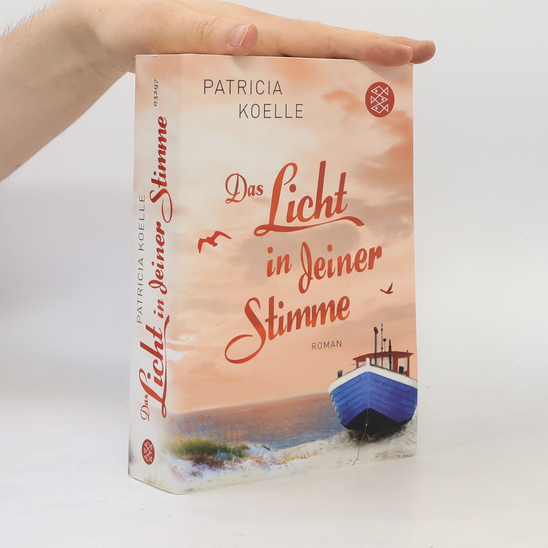 Patricia Koelle Das Licht in deiner Stimme