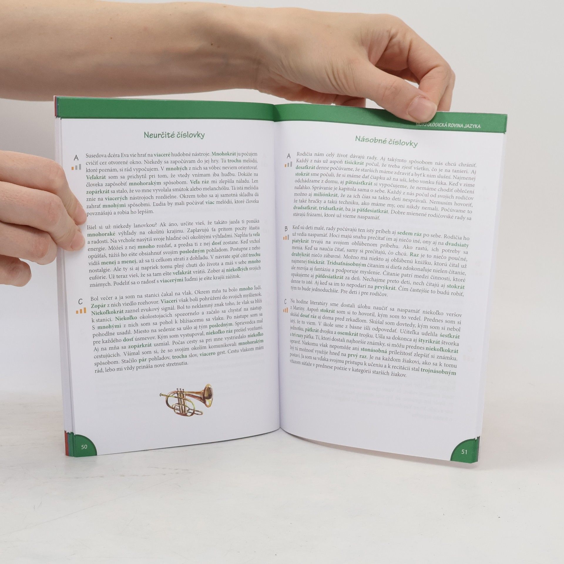 Autorenkollektiv Hravé diktáty. Slovenský jazyk pre 8. ročník ZŠ