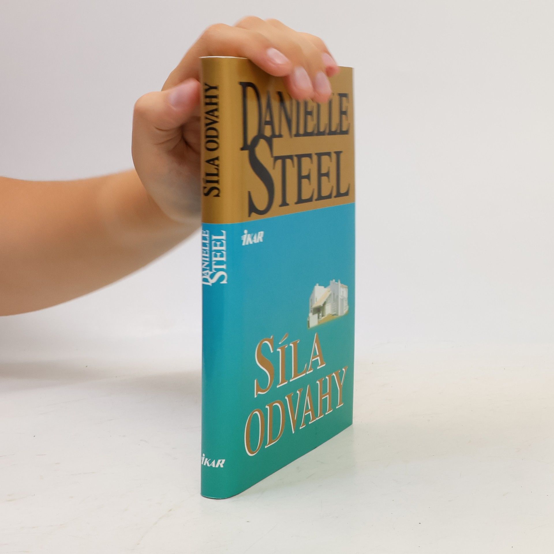 Danielle Steelová Síla odvahy