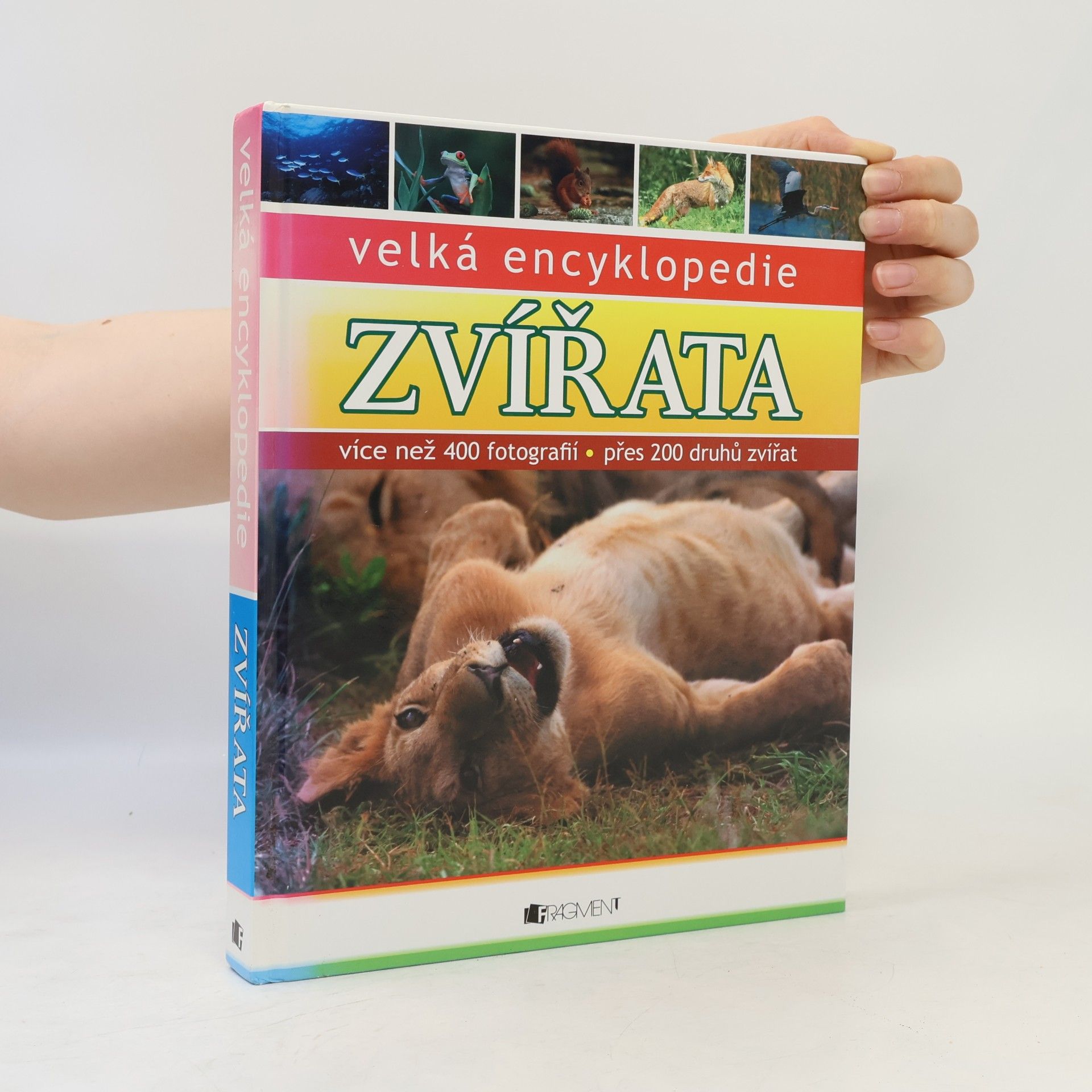 Jitka Mádrová Zvířata : velká encyklopedie