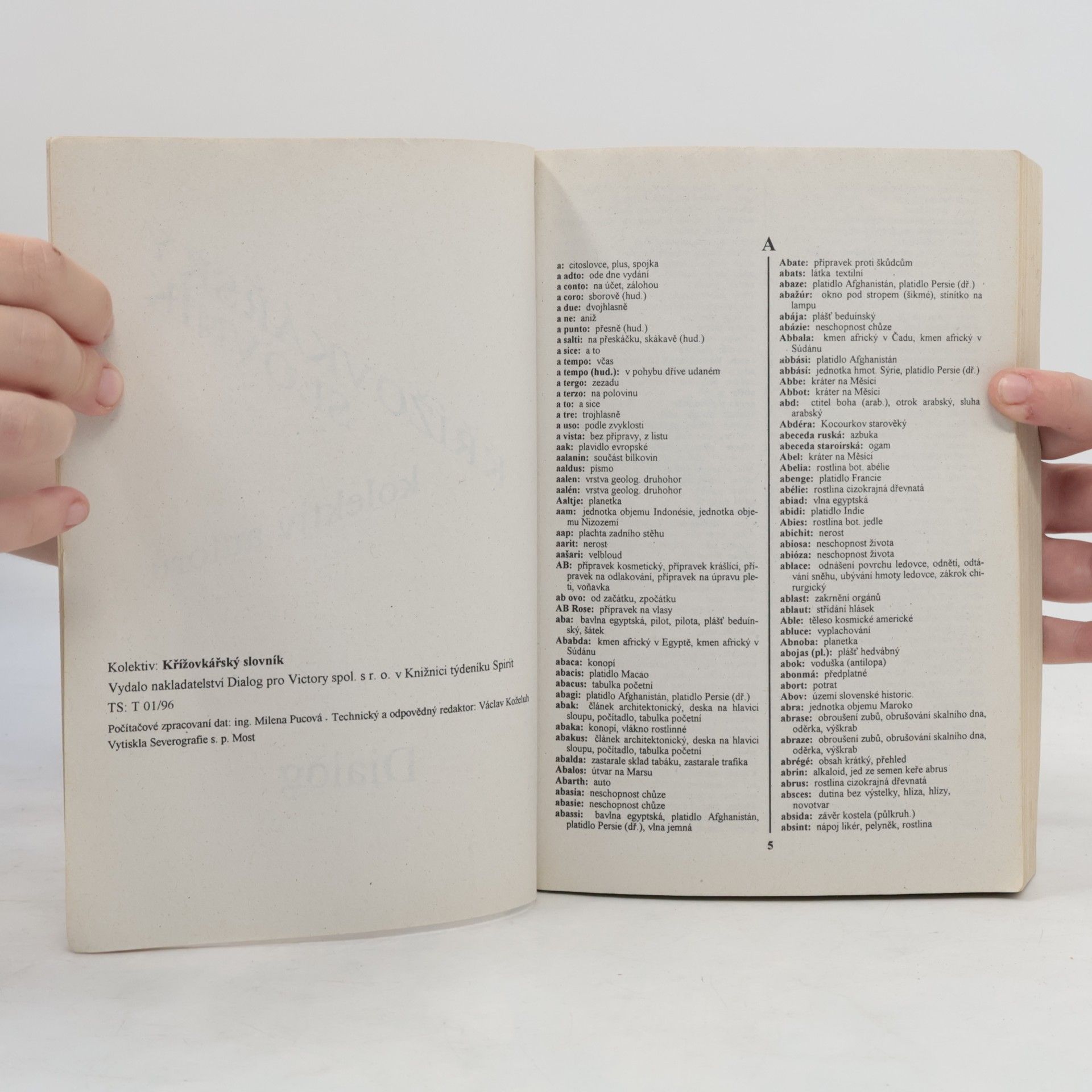 Autorenkollektiv Křížovkářský slovník
