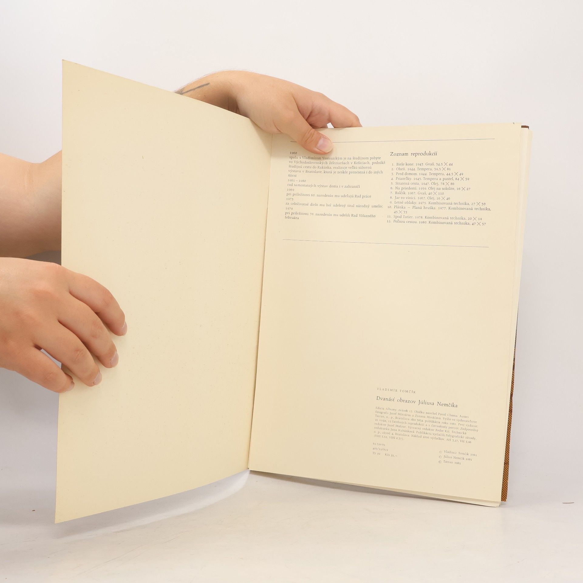 Autores varios Julius Nemcík. 12 obrazov
