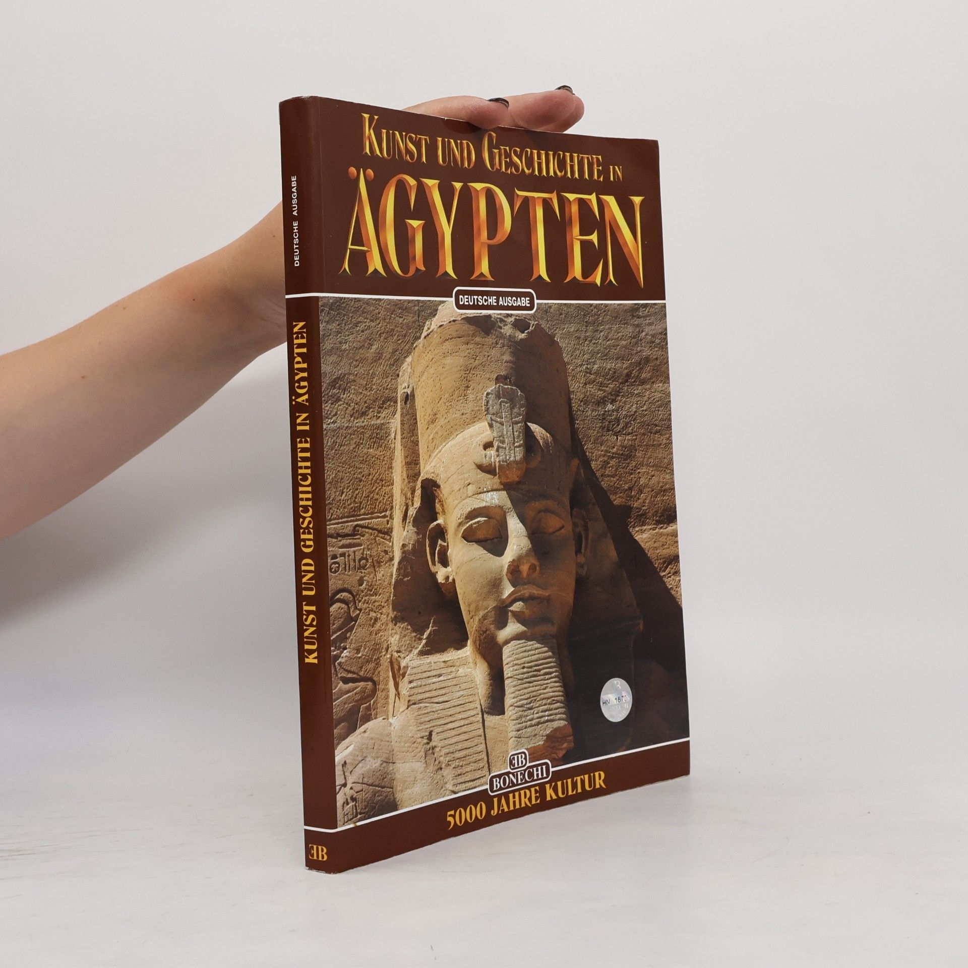 Alberto Carlo Carpiceci Kunst und Geschichte in Ägypten