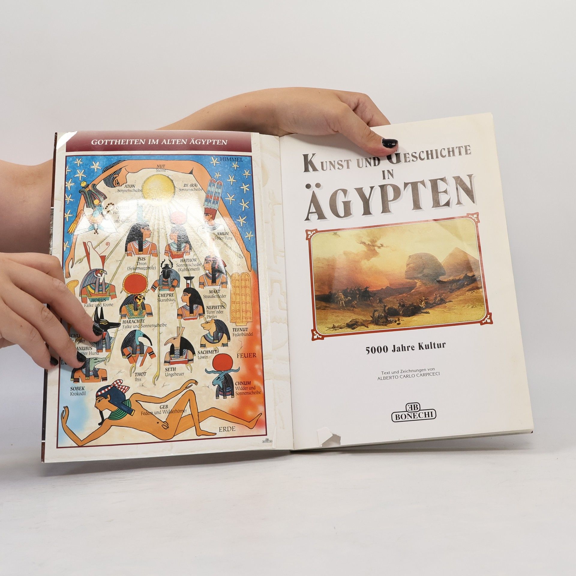 Alberto Carlo Carpiceci Kunst und Geschichte in Ägypten
