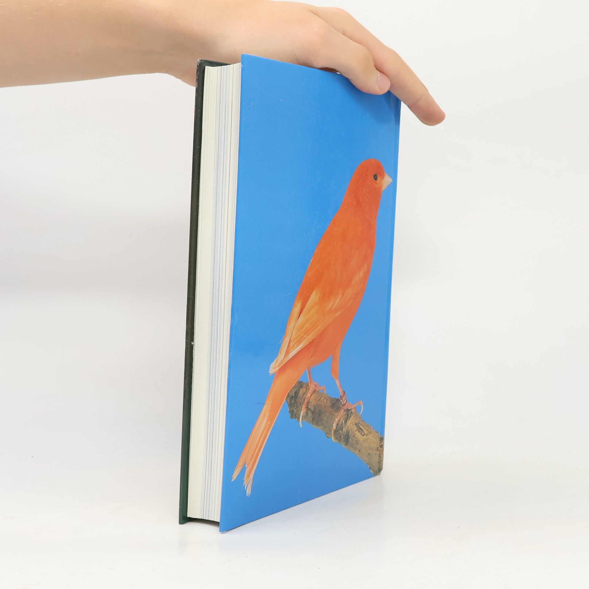 Alois Van Mingeroet Kleurkanaries kweken en tentoonstellen