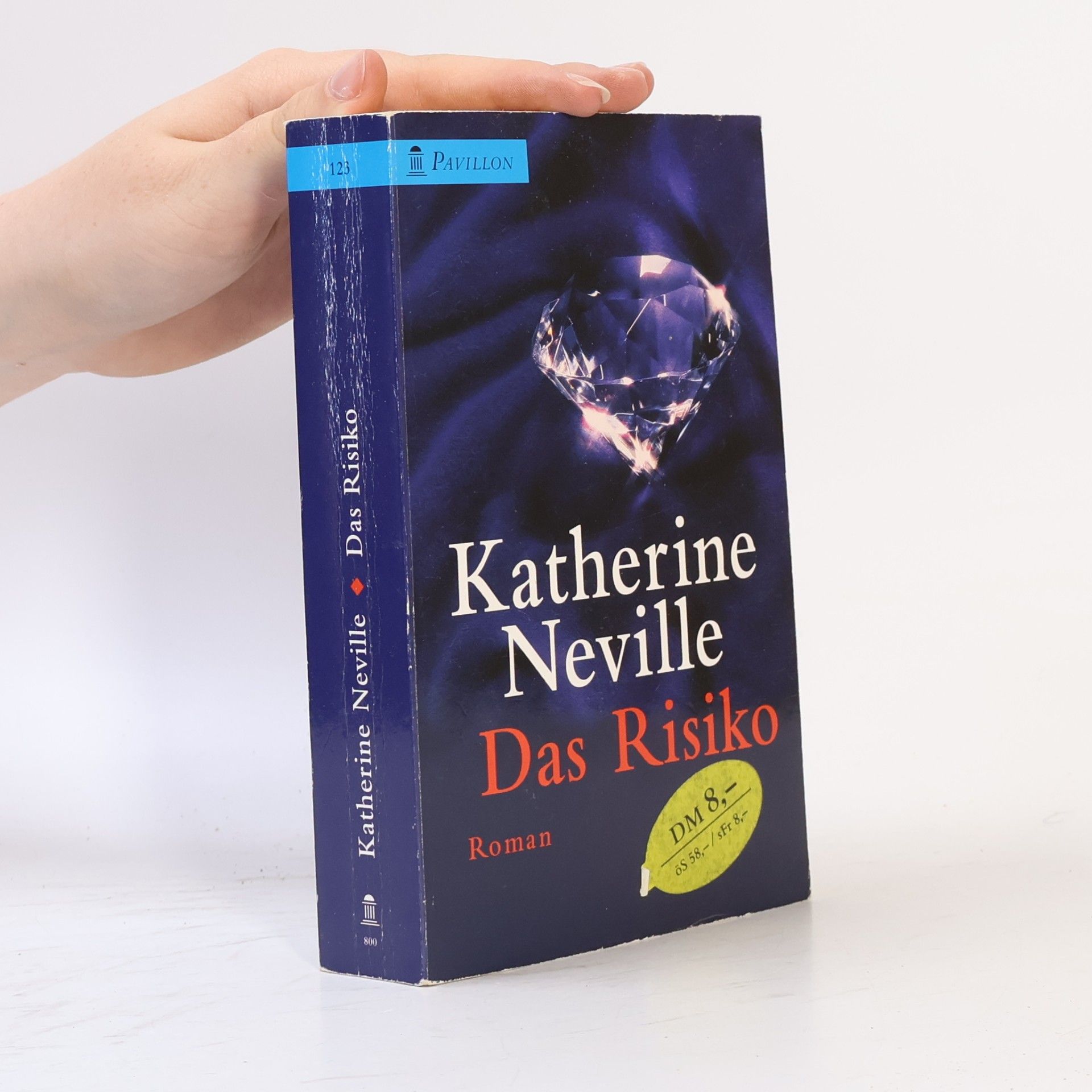 Katherine Neville Das Risiko