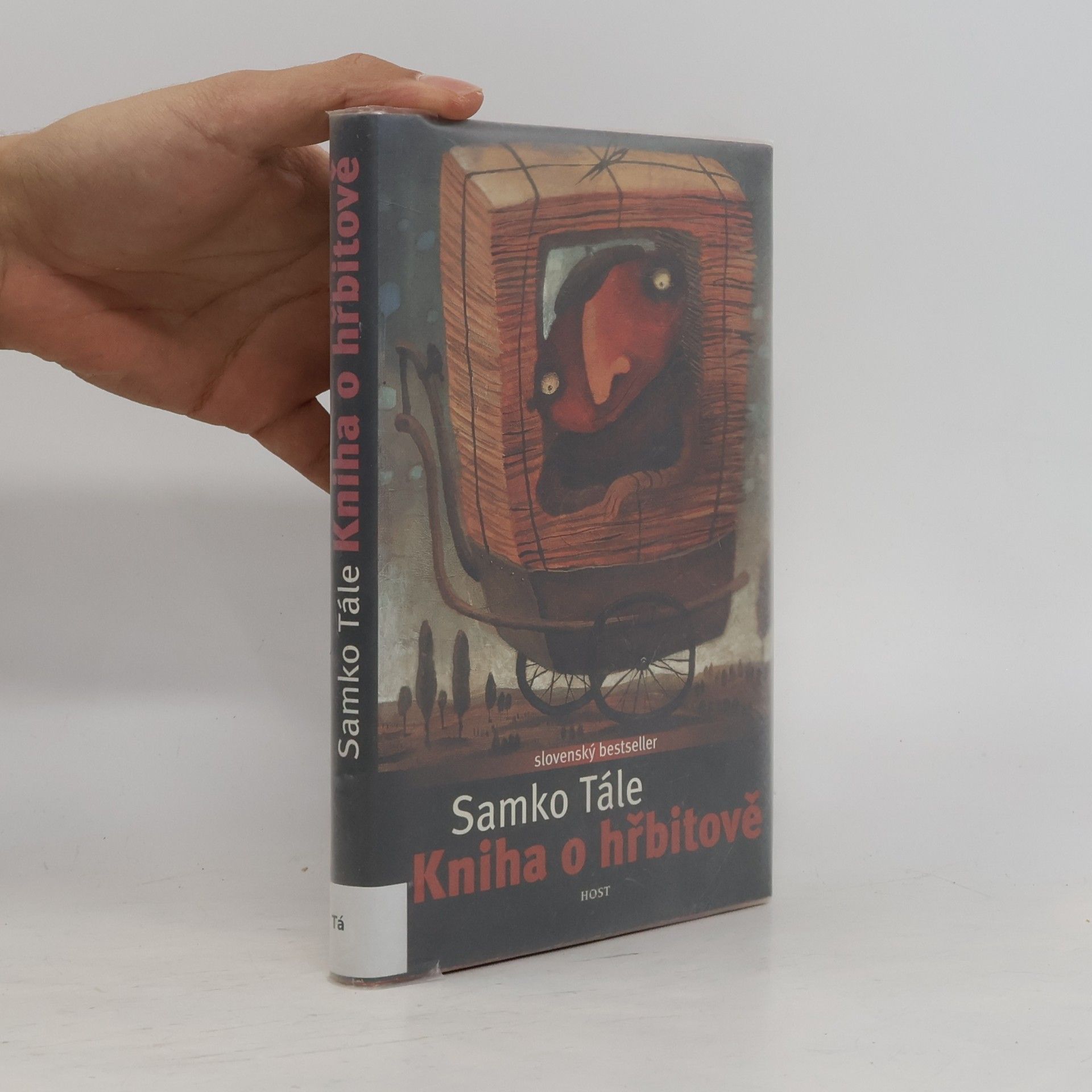 Daniela Kapitáňová Kniha o hřbitově