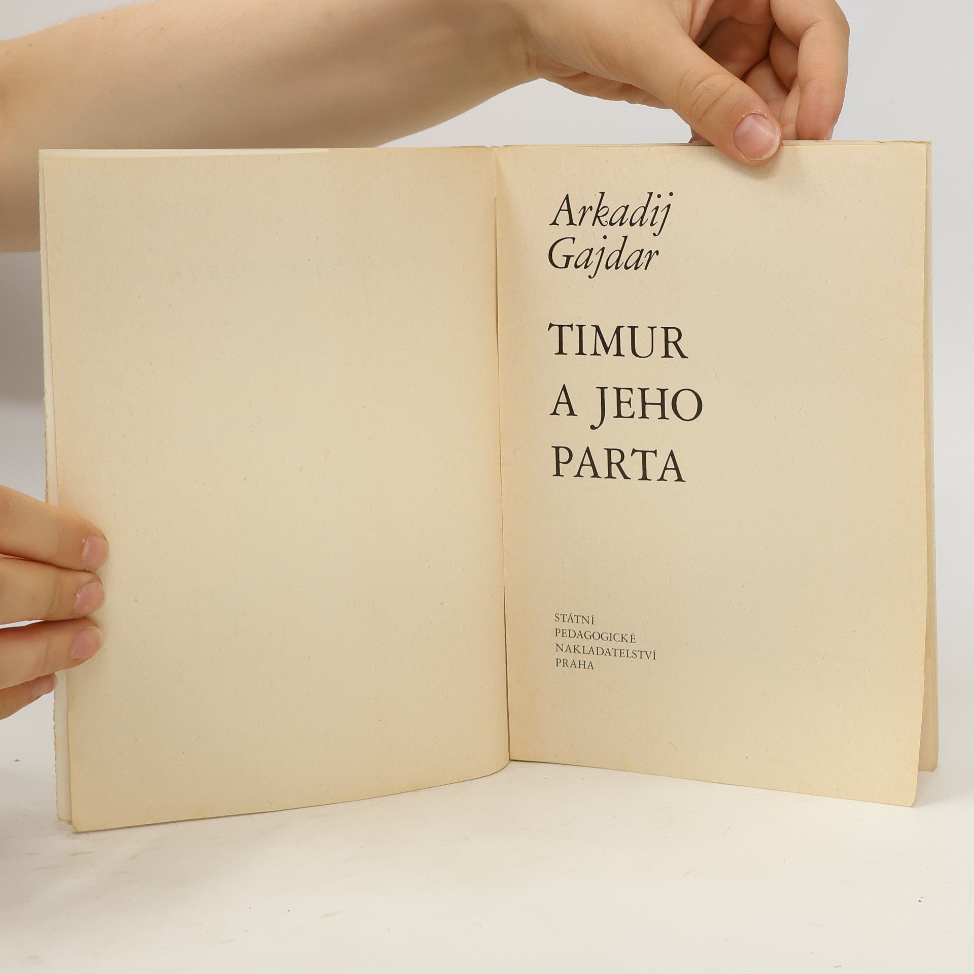 Arkadij Petrovič Gajdar Timur a jeho parta