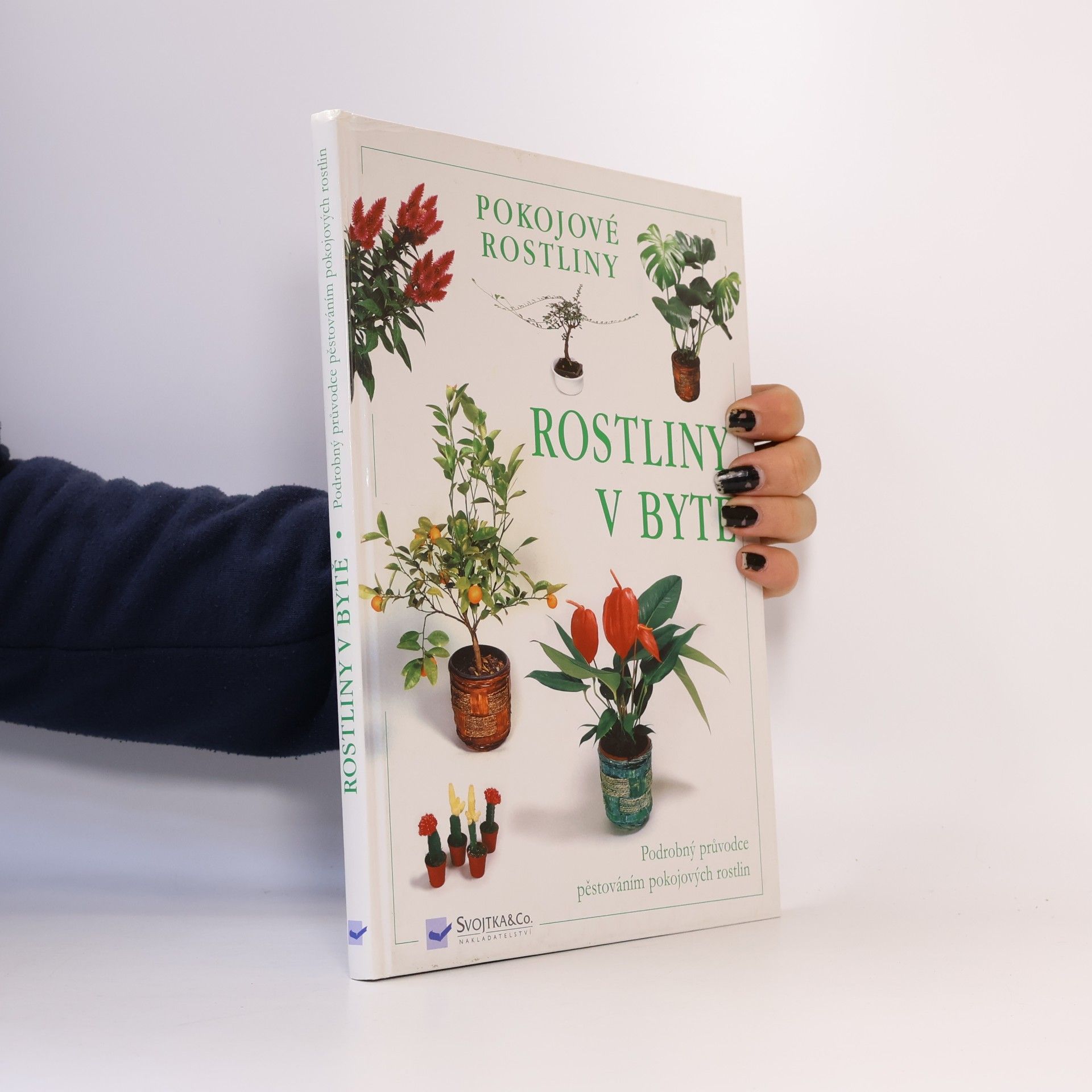 Autores varios Rostliny v bytě. Pokojové rostliny