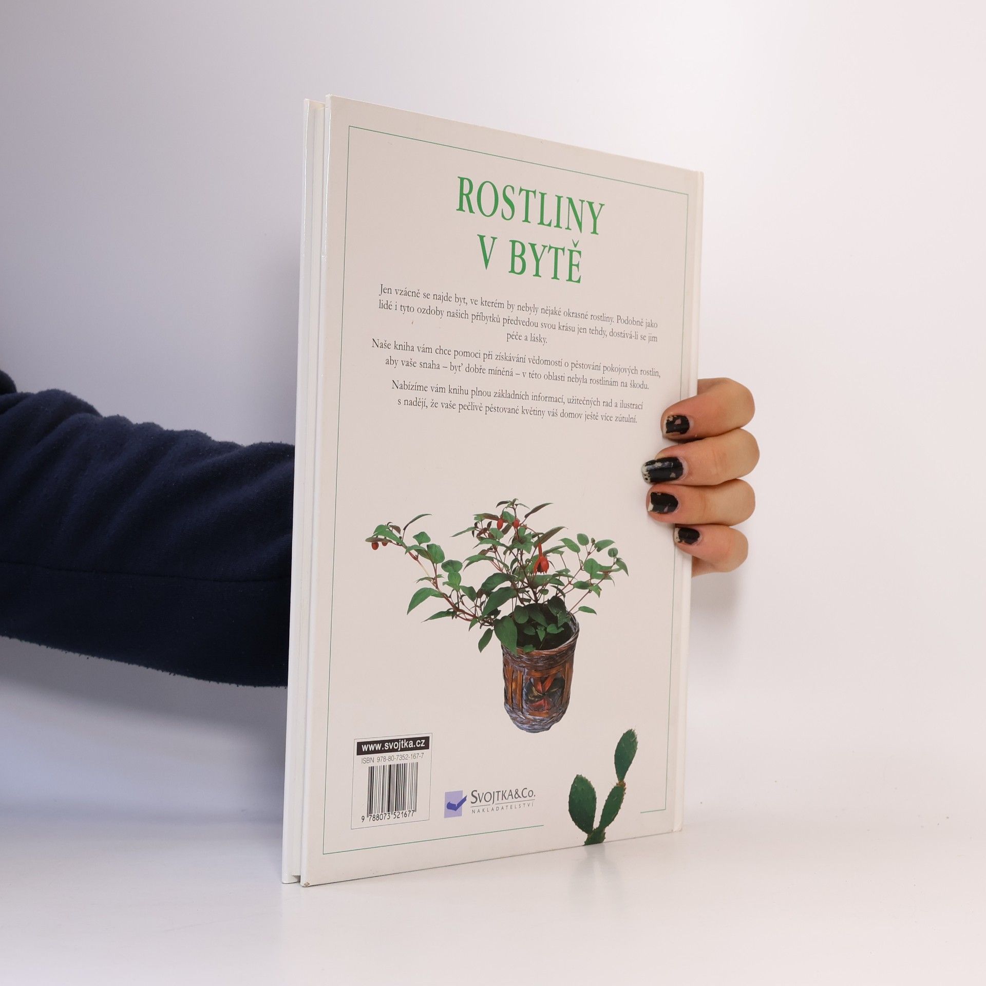 Autores varios Rostliny v bytě. Pokojové rostliny