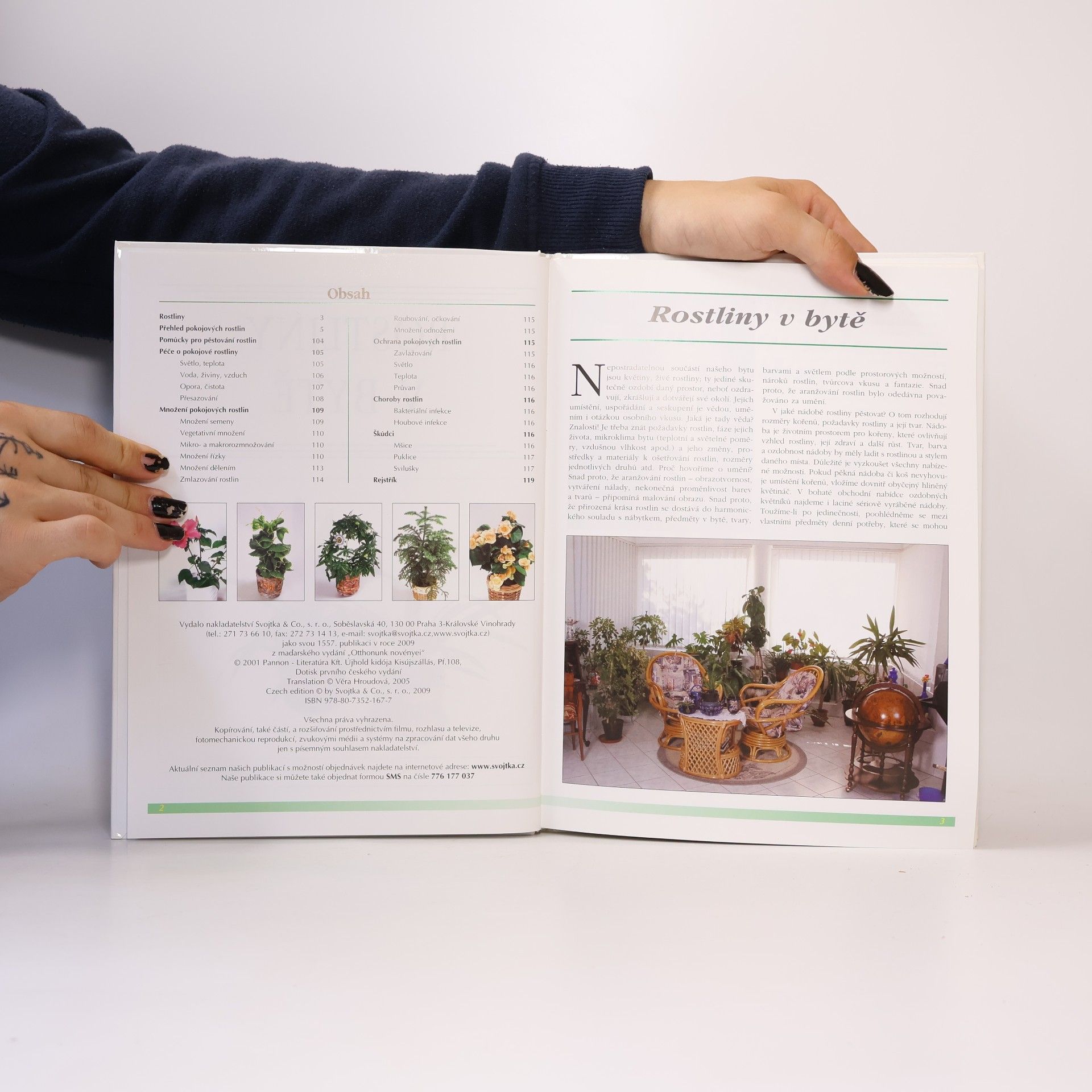 Autores varios Rostliny v bytě. Pokojové rostliny