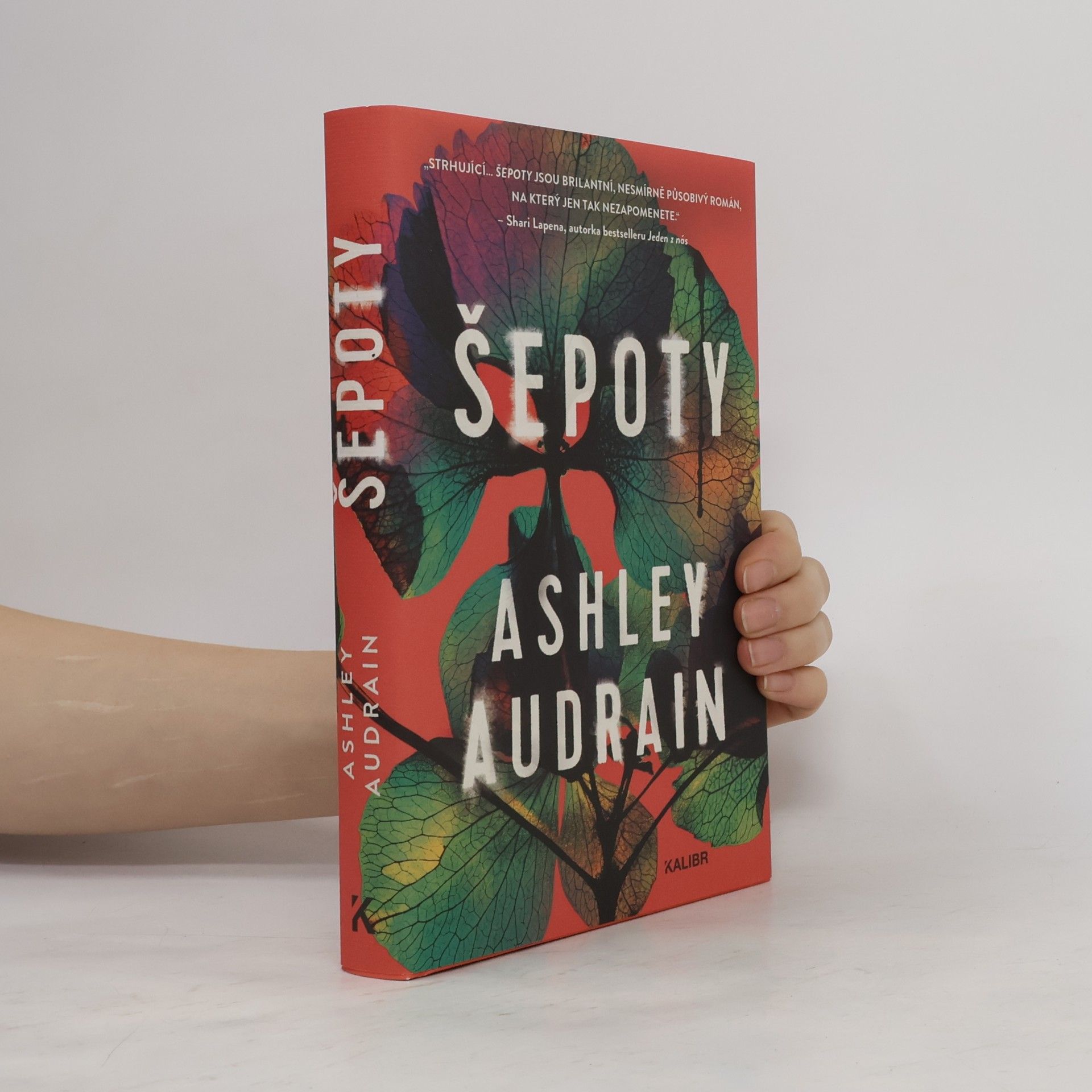 Ashley Audrain Šepoty