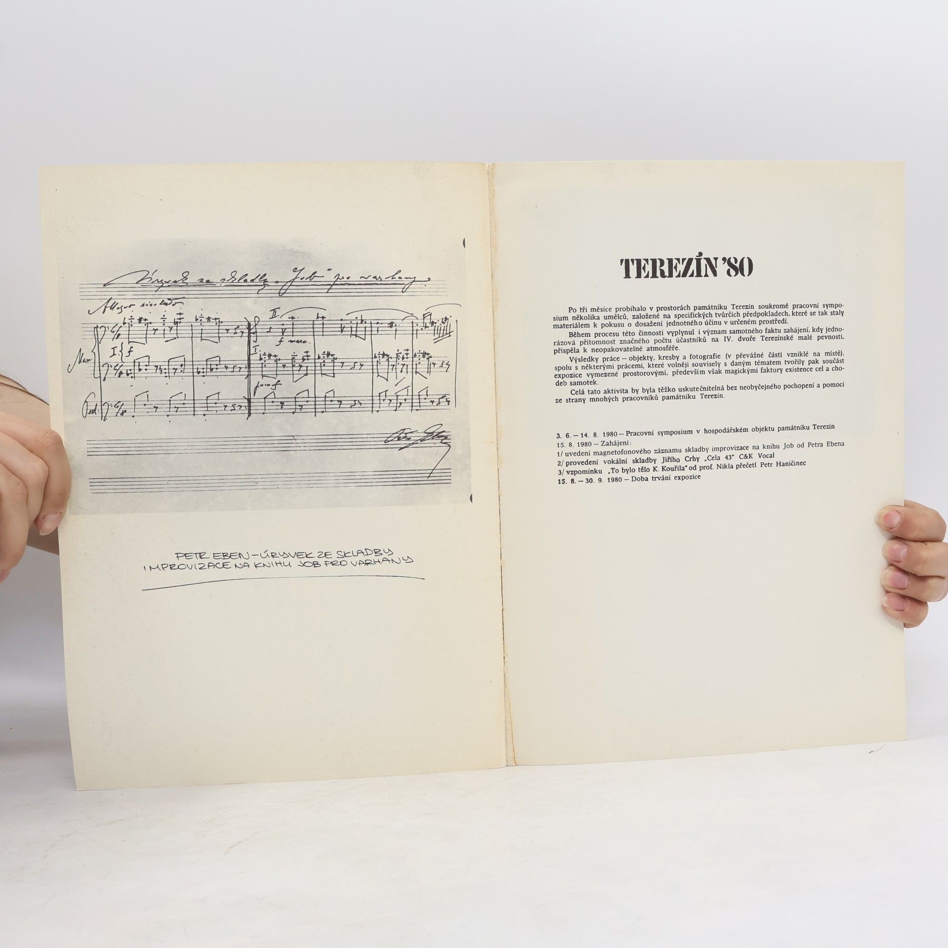 Autores varios Terezín '80