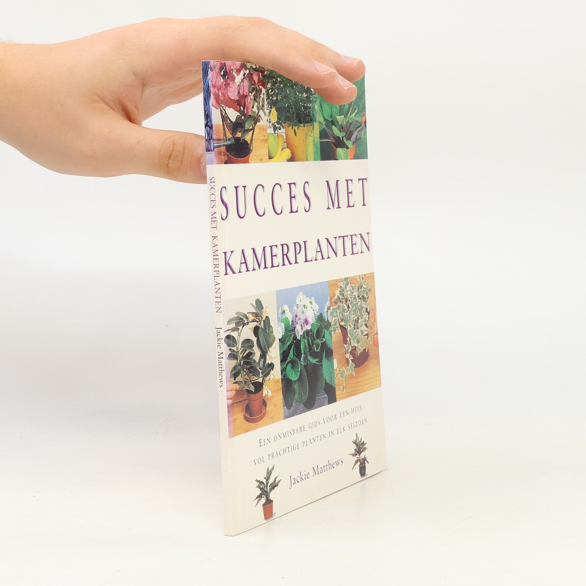Succes met kamerplanten