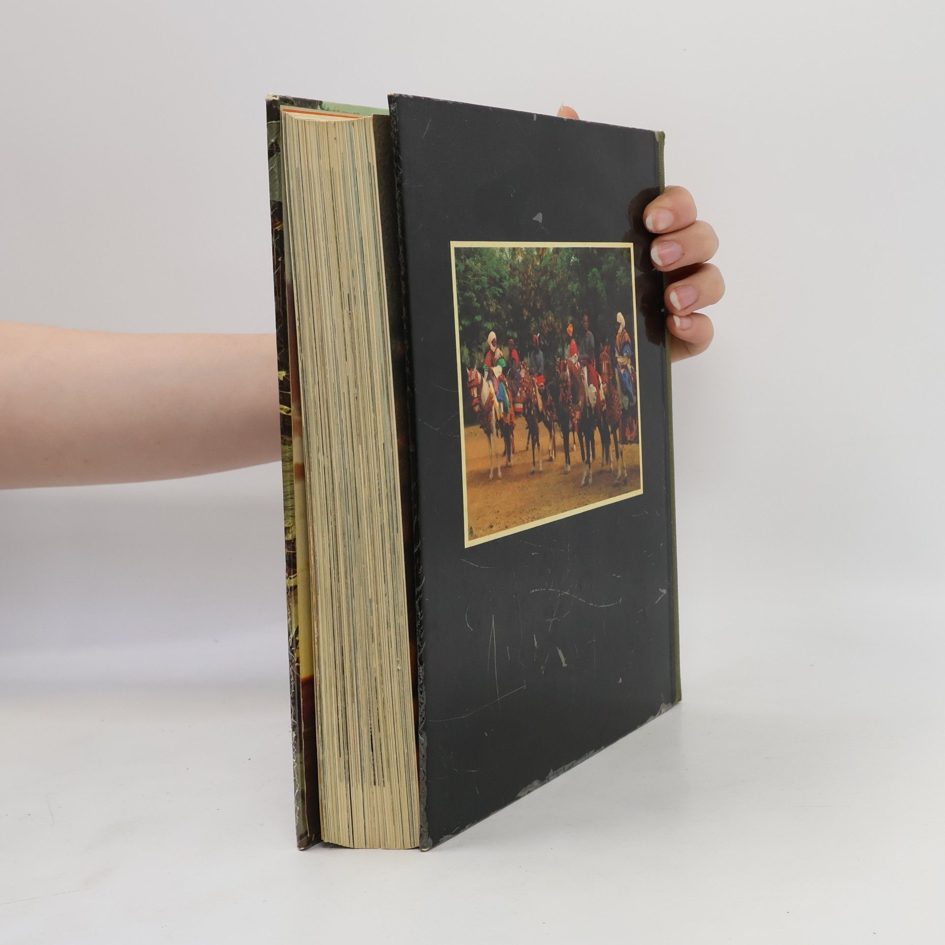 Autores varios Reader´s Digest Reise um die Welt