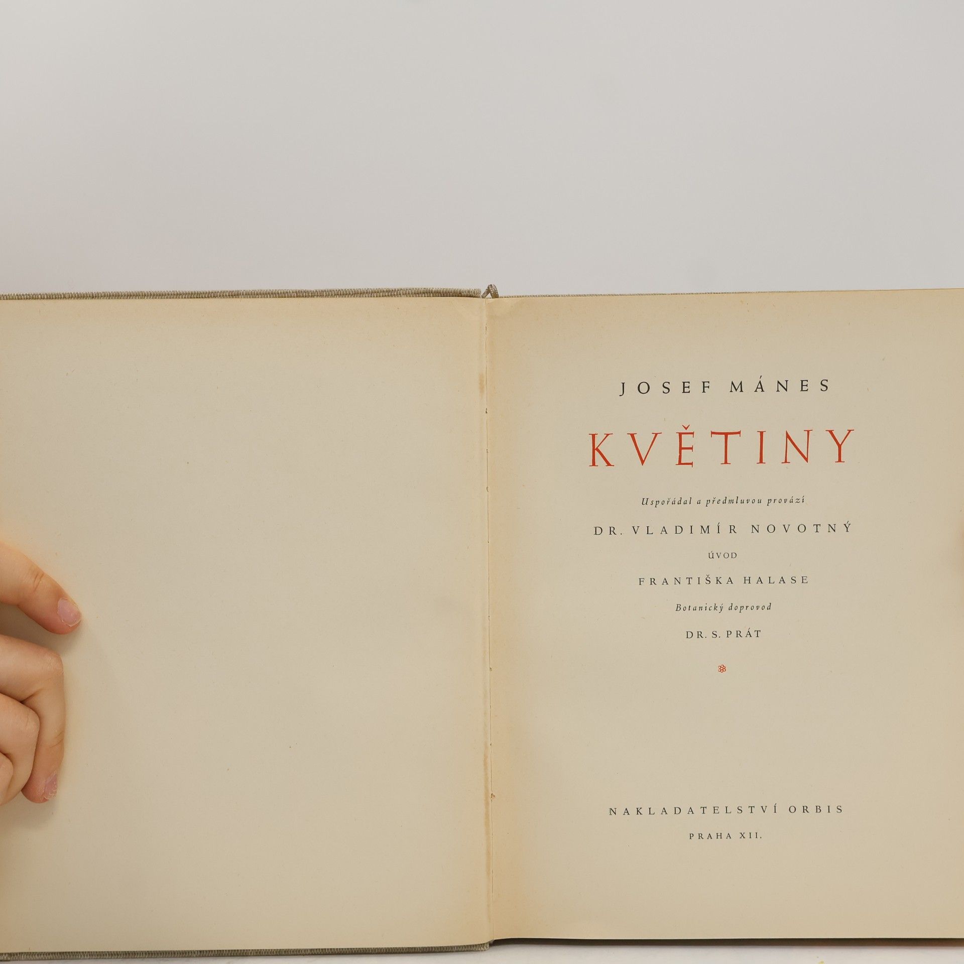 Josef Mánes Květiny