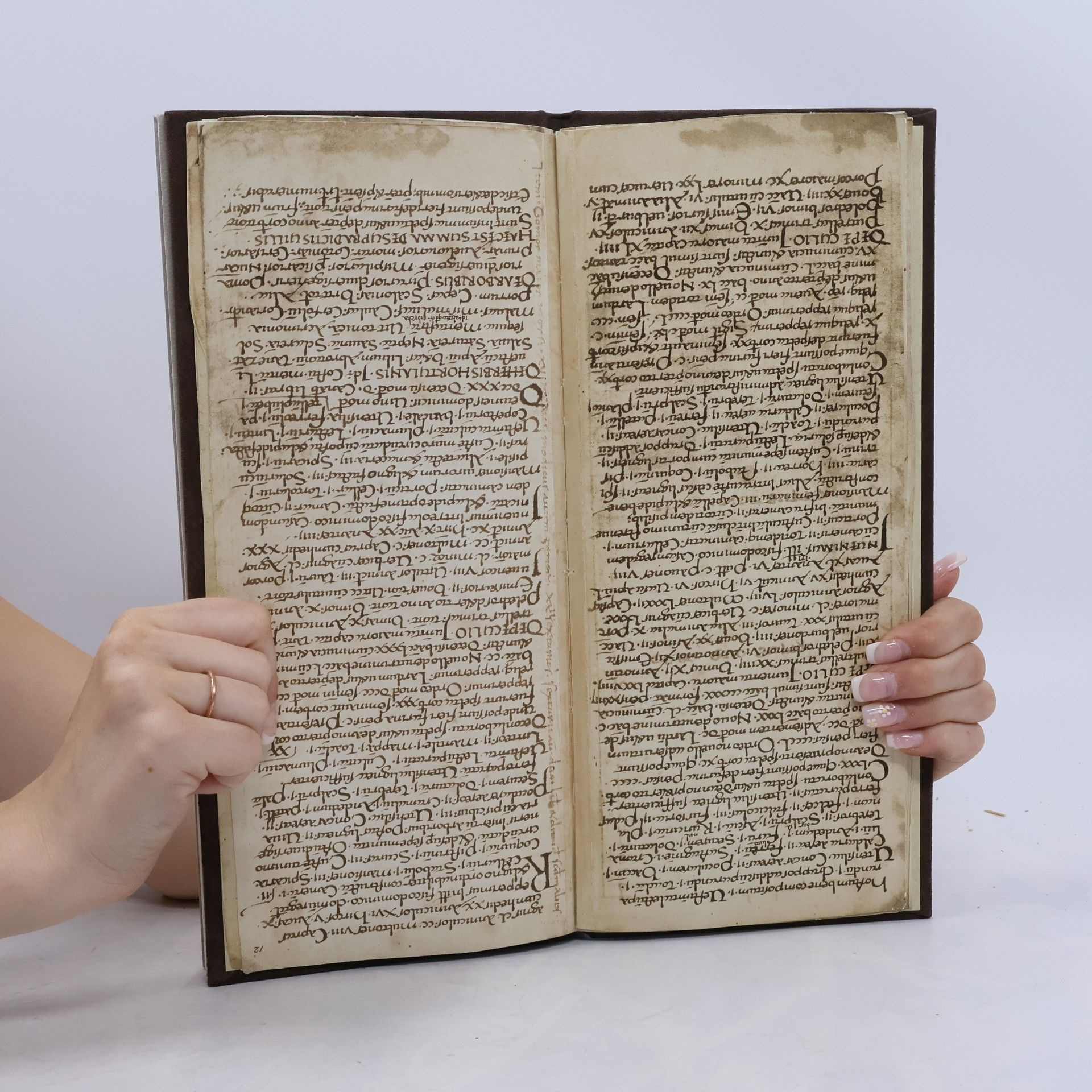 Autorenkollektiv Capitulare de villis