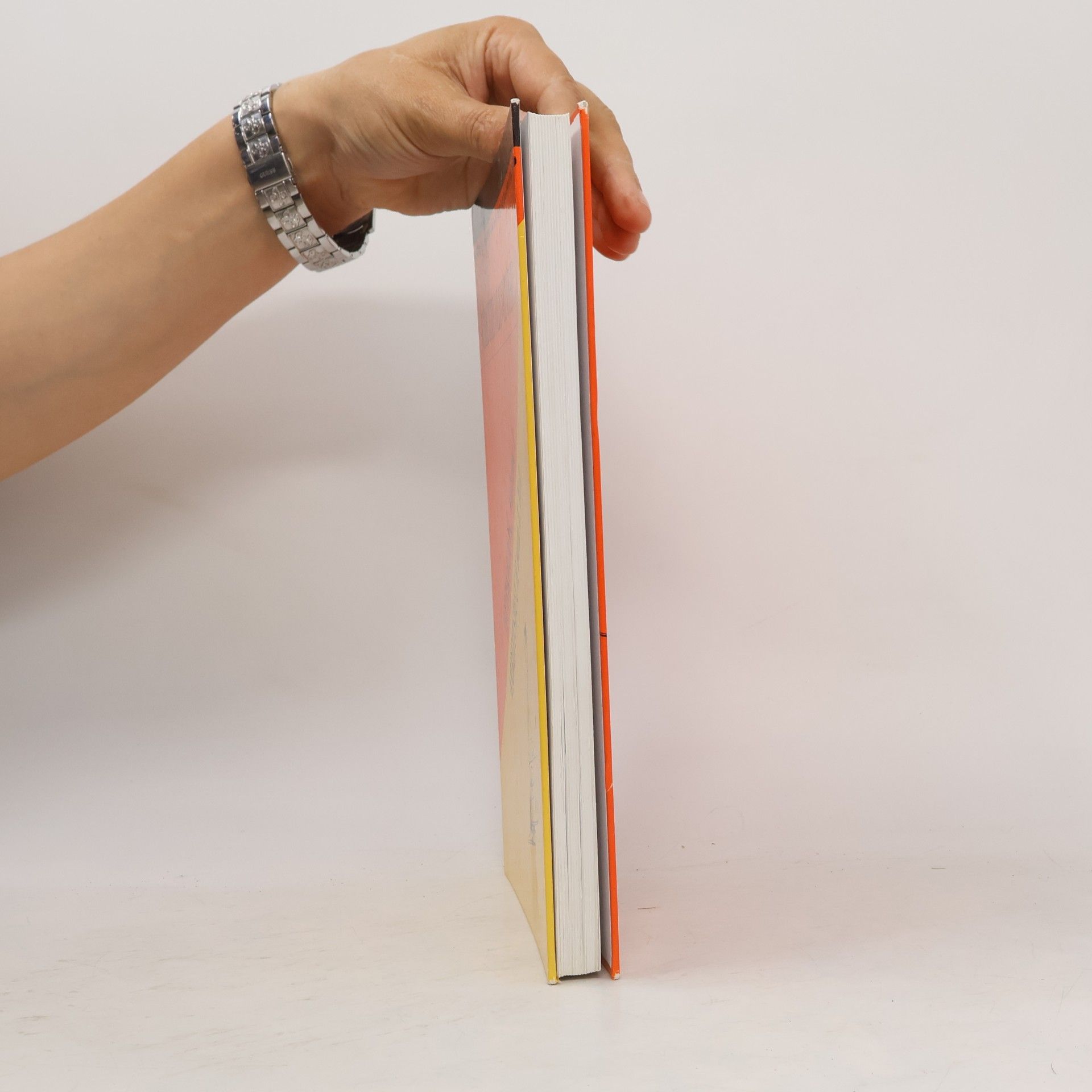 Olga Čechová Chcete mluvit česky? Workbook 1 = Arbeitsbuch 1