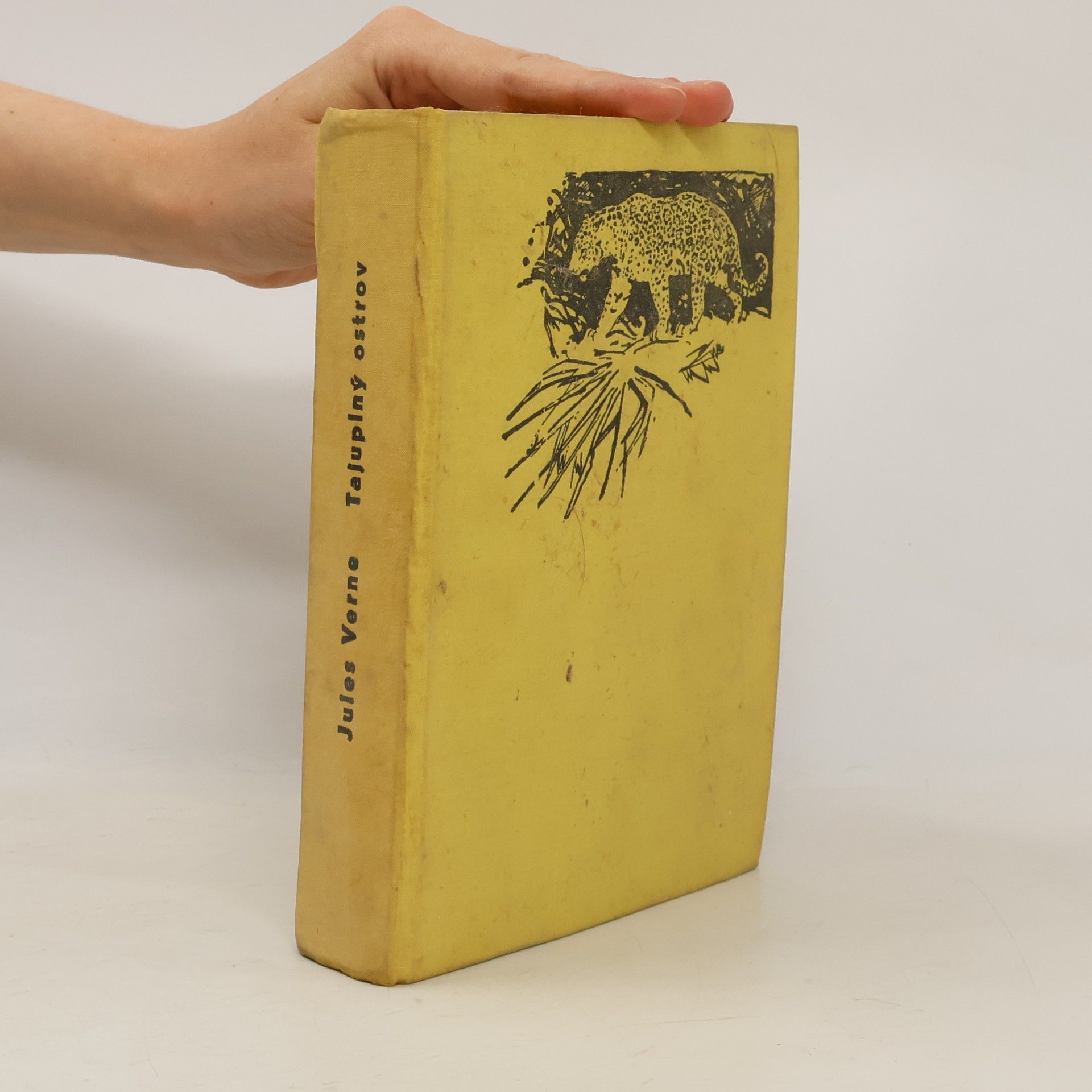 Jules Verne Tajuplný ostrov
