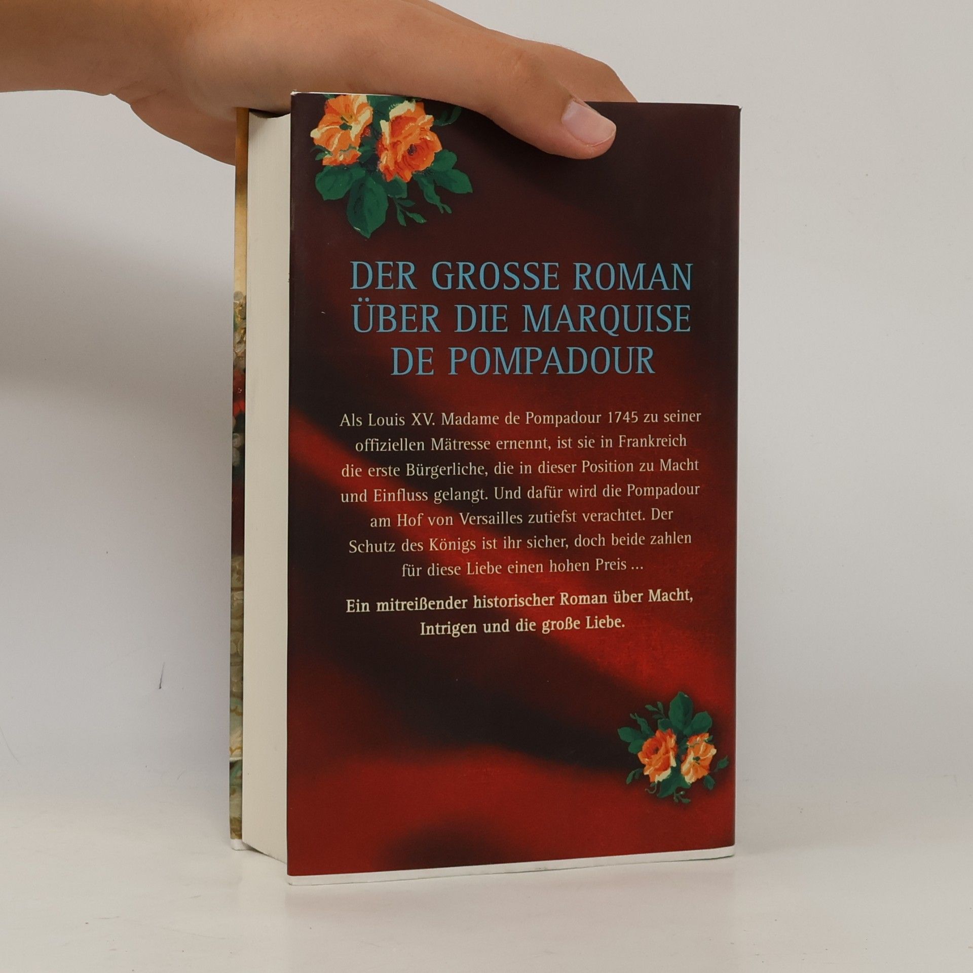 Claudia Ziegler Die Favoritin des Königs