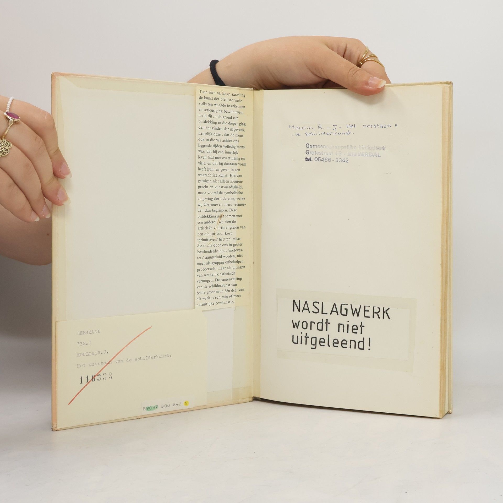 Raoul Jean Moulin Het ontstaan van de schilderkunst