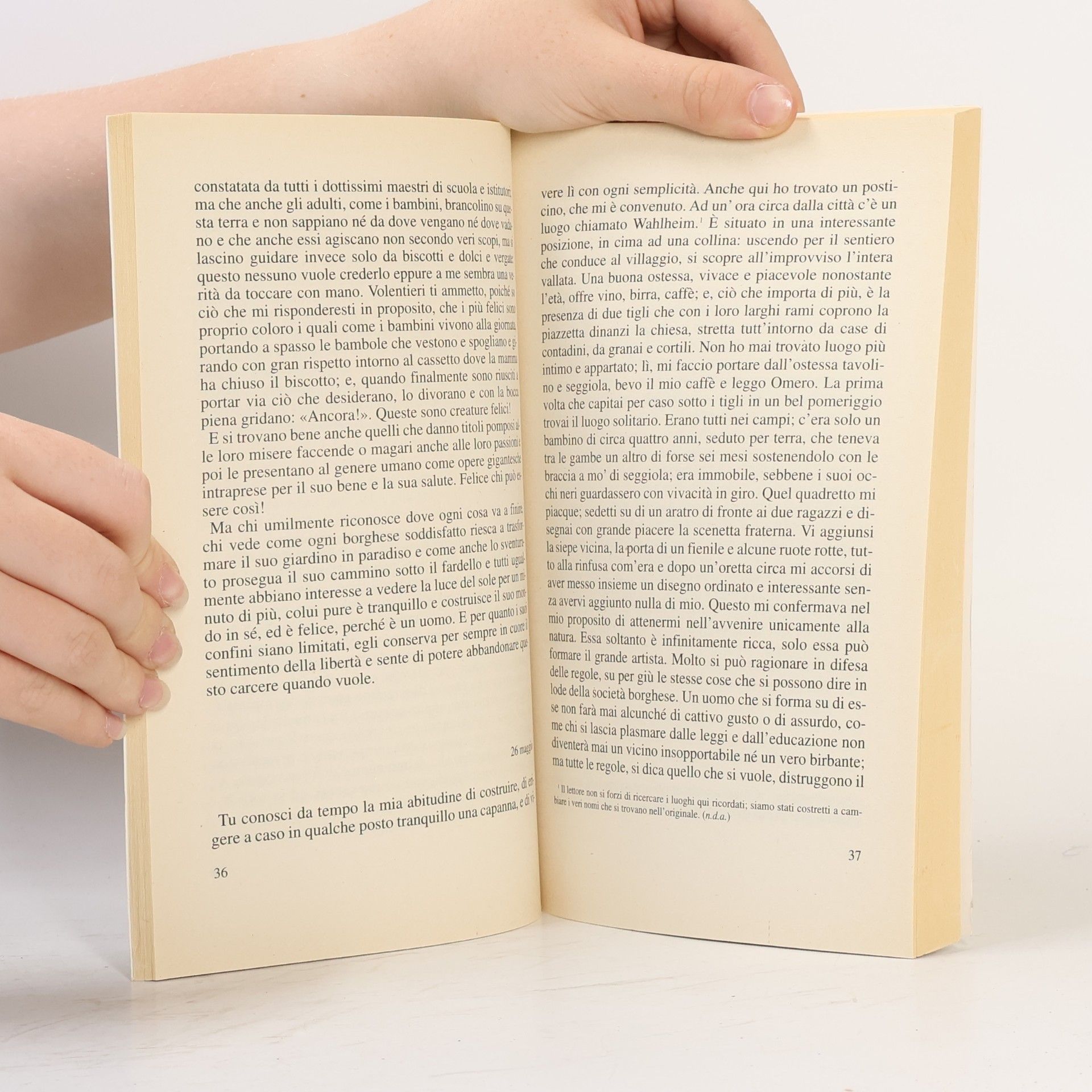 Johann Wolfgang von Goethe Biblioteca economica Newton - 100: I dolori del giovane Werther