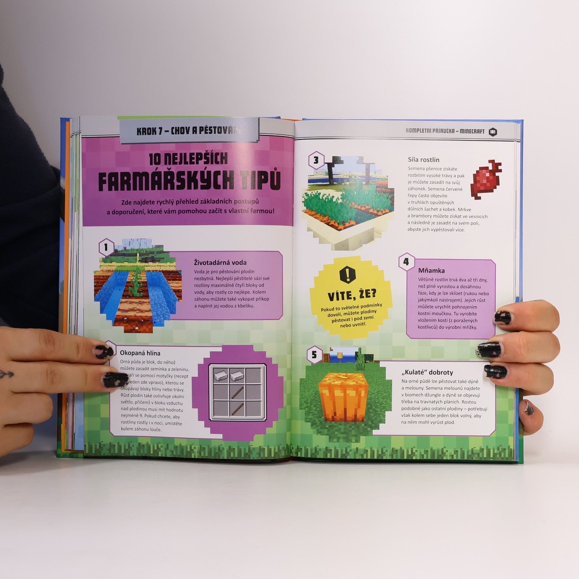 Roman Bureš Kompletní příručka Minecraft : nezávislá a neoficiální