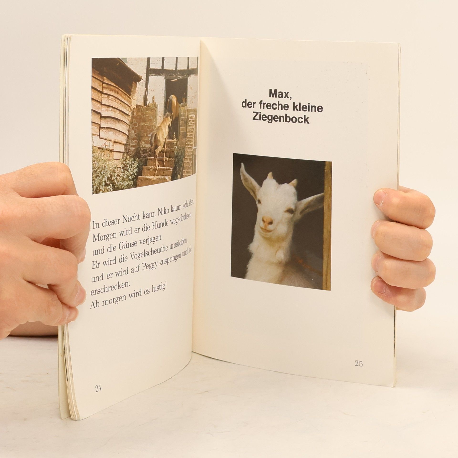 Helen Piers Lerne Lesen: Das Fohlen und der freche kleine Ziegenbock