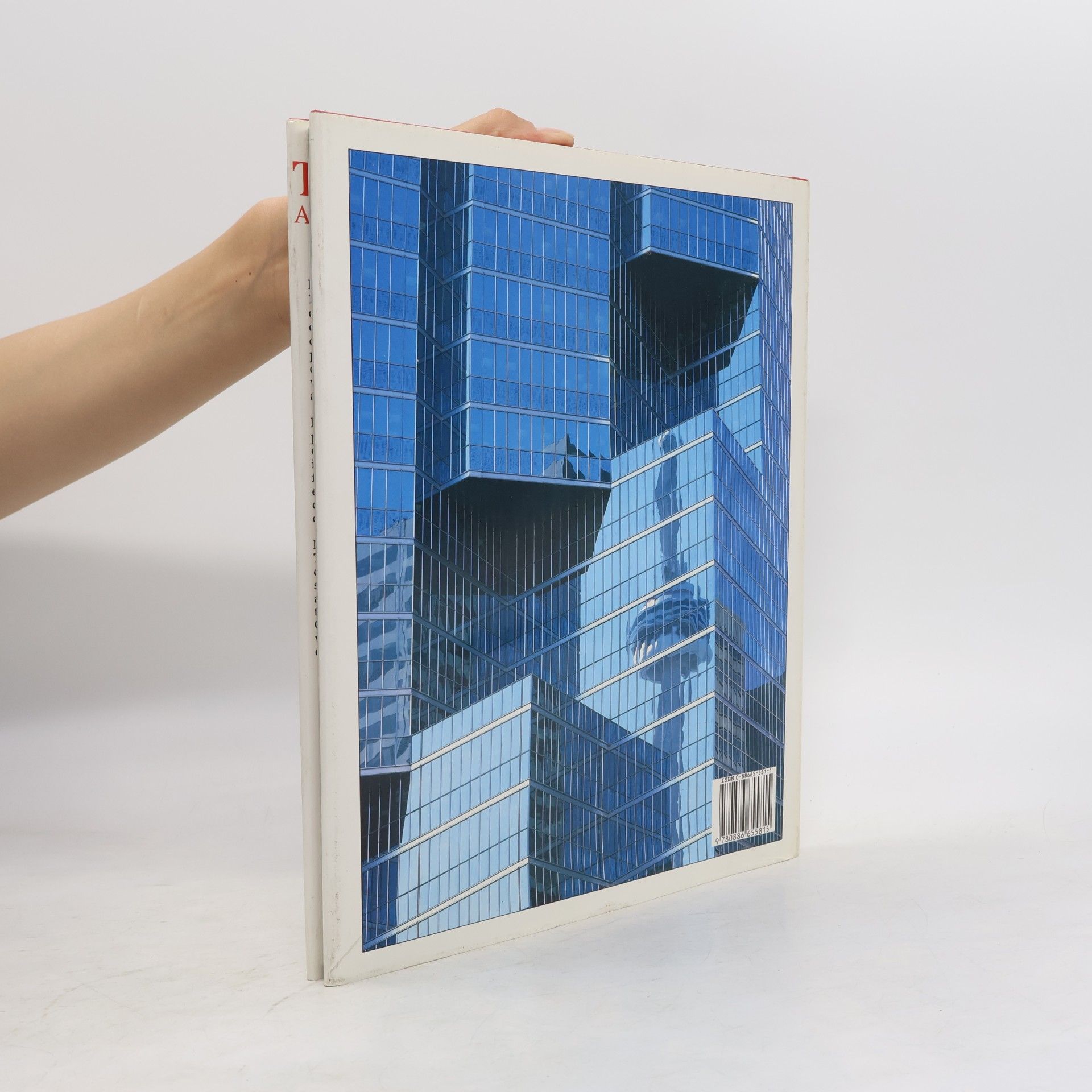 Howard Berger Toronto : a photographic tribute