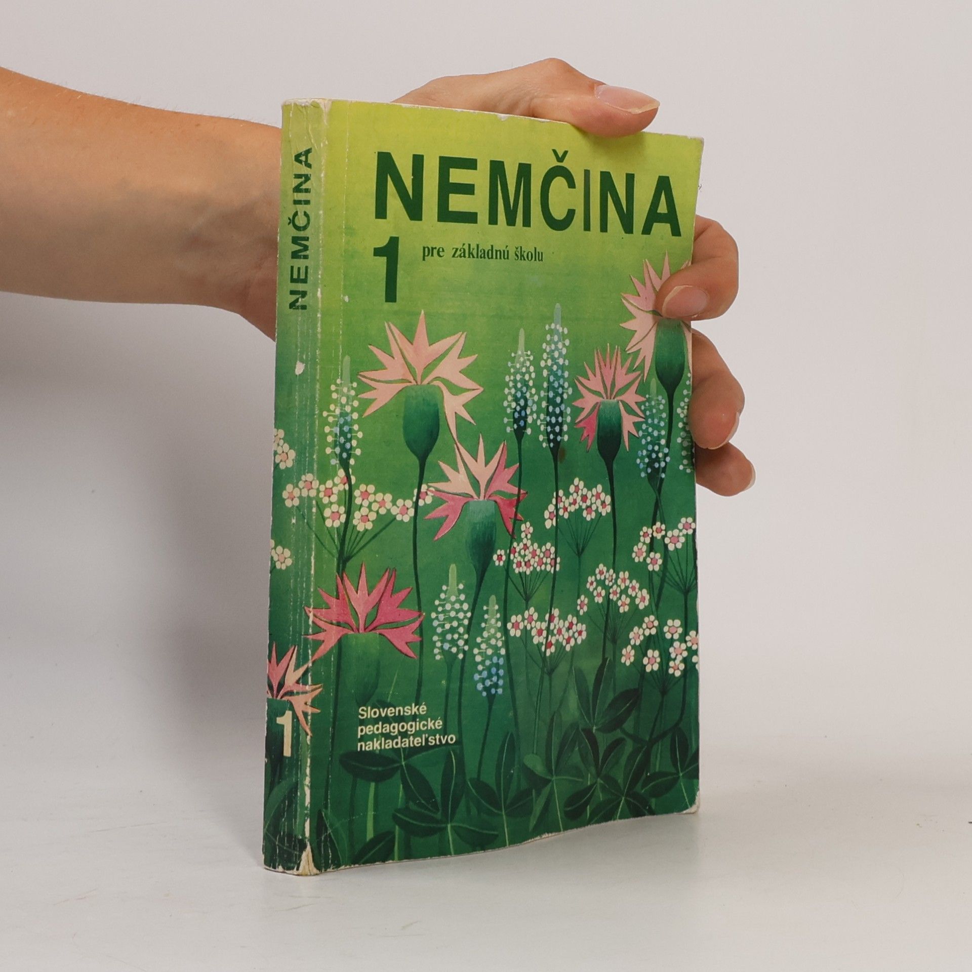 Autorenkollektiv Nemčina