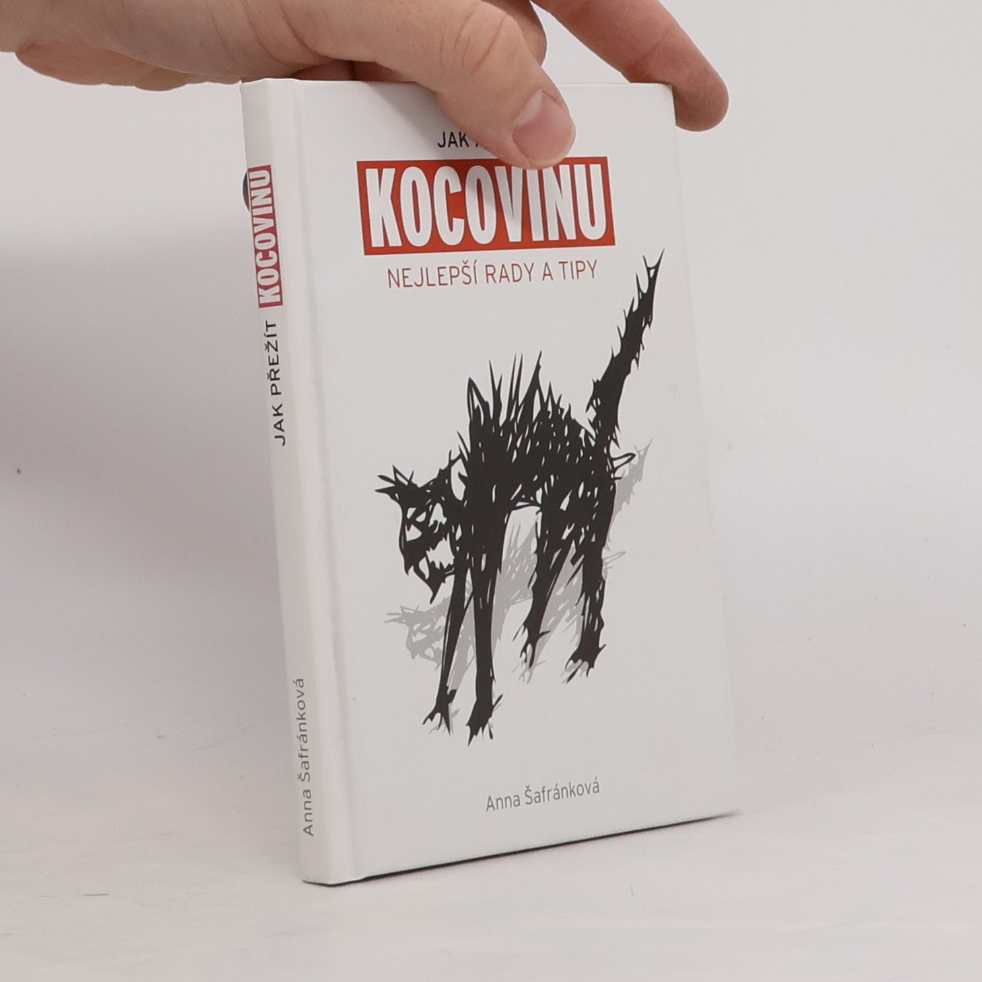 Anna Šafránková Jak přežít kocovinu: Nejlepší rady a tipy