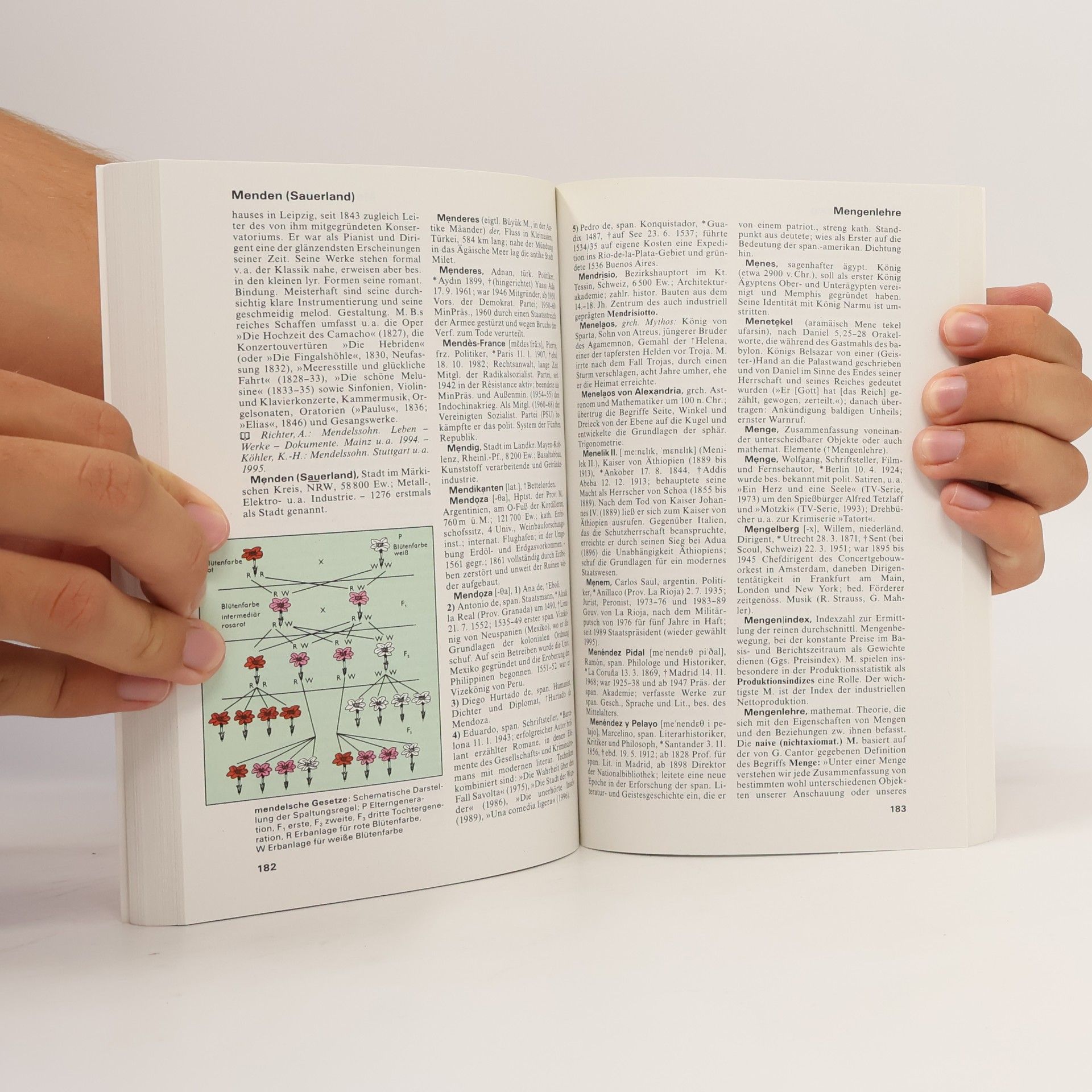 Marianne Strzysch-Siebeck Meyers Grosses Taschen Lexikon in 24 Bänden 14. Mah-Mold