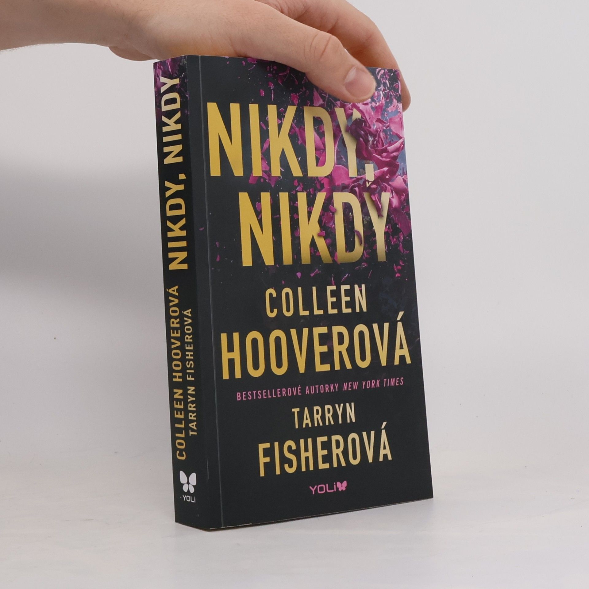 Colleen Hoover Nikdy, nikdy