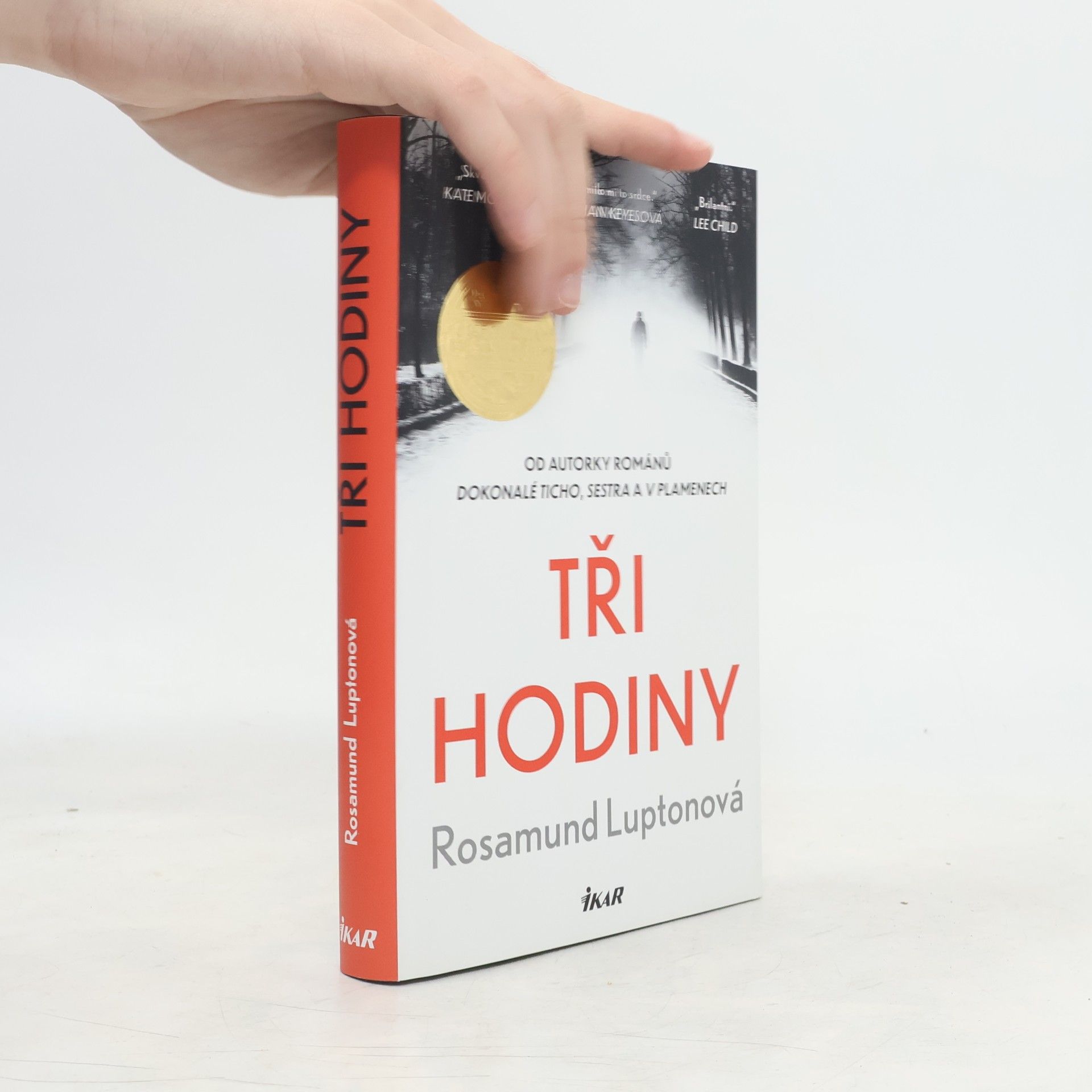 Rosamund Lupton Tři hodiny