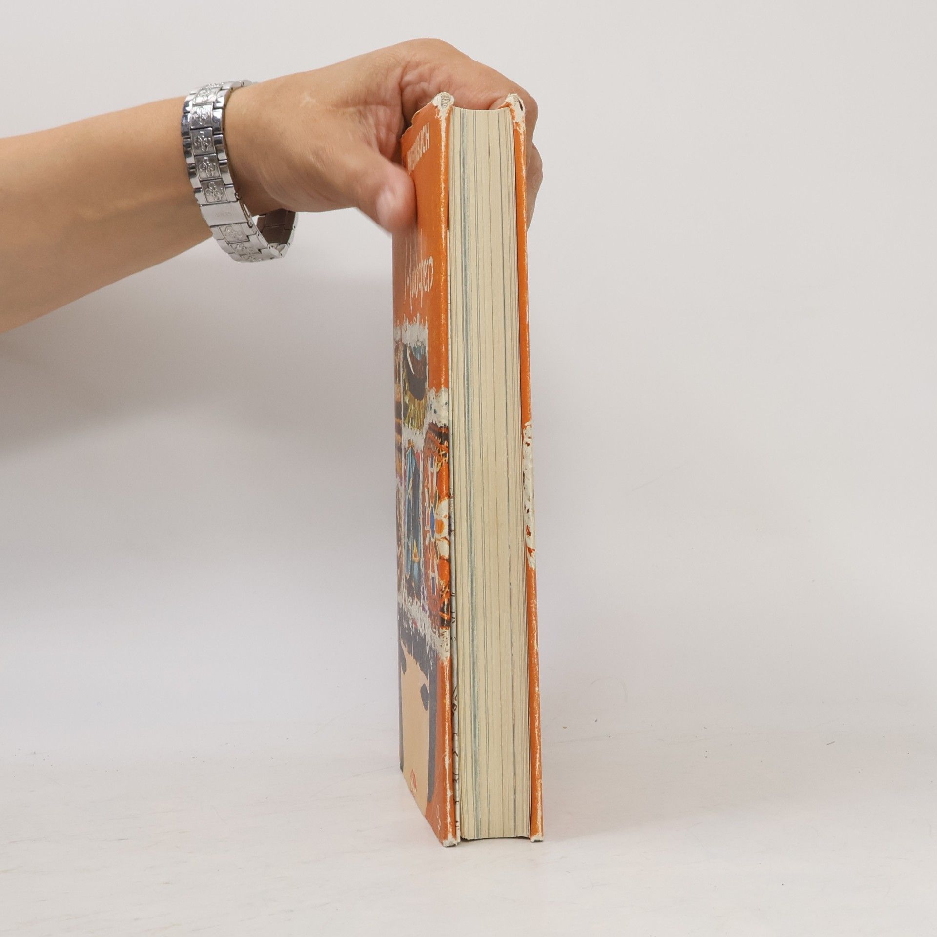 Ruth Zechlin Werkbuch für Madchen