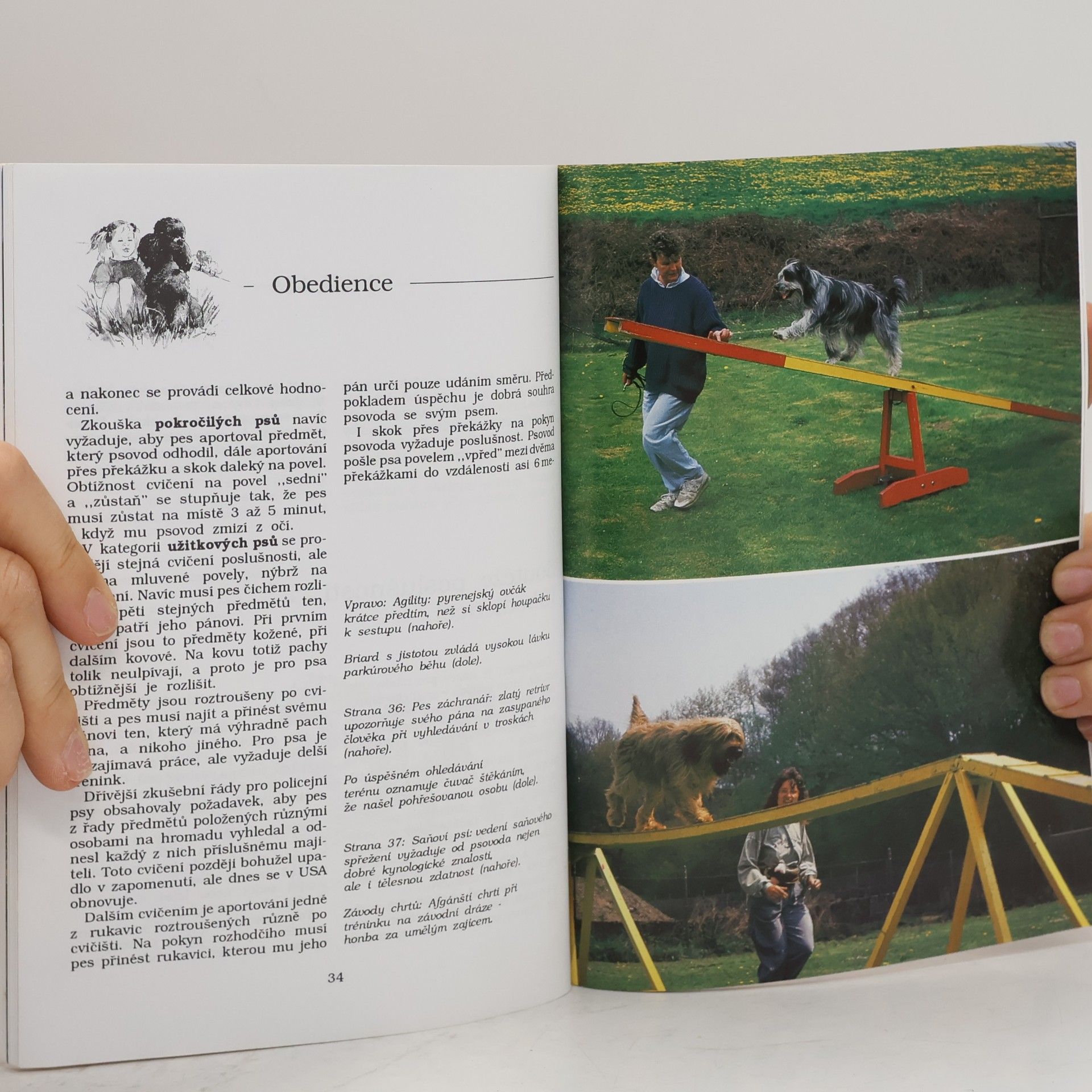Karin Wimmer Kieckbusch Zaměstnejme svého psa