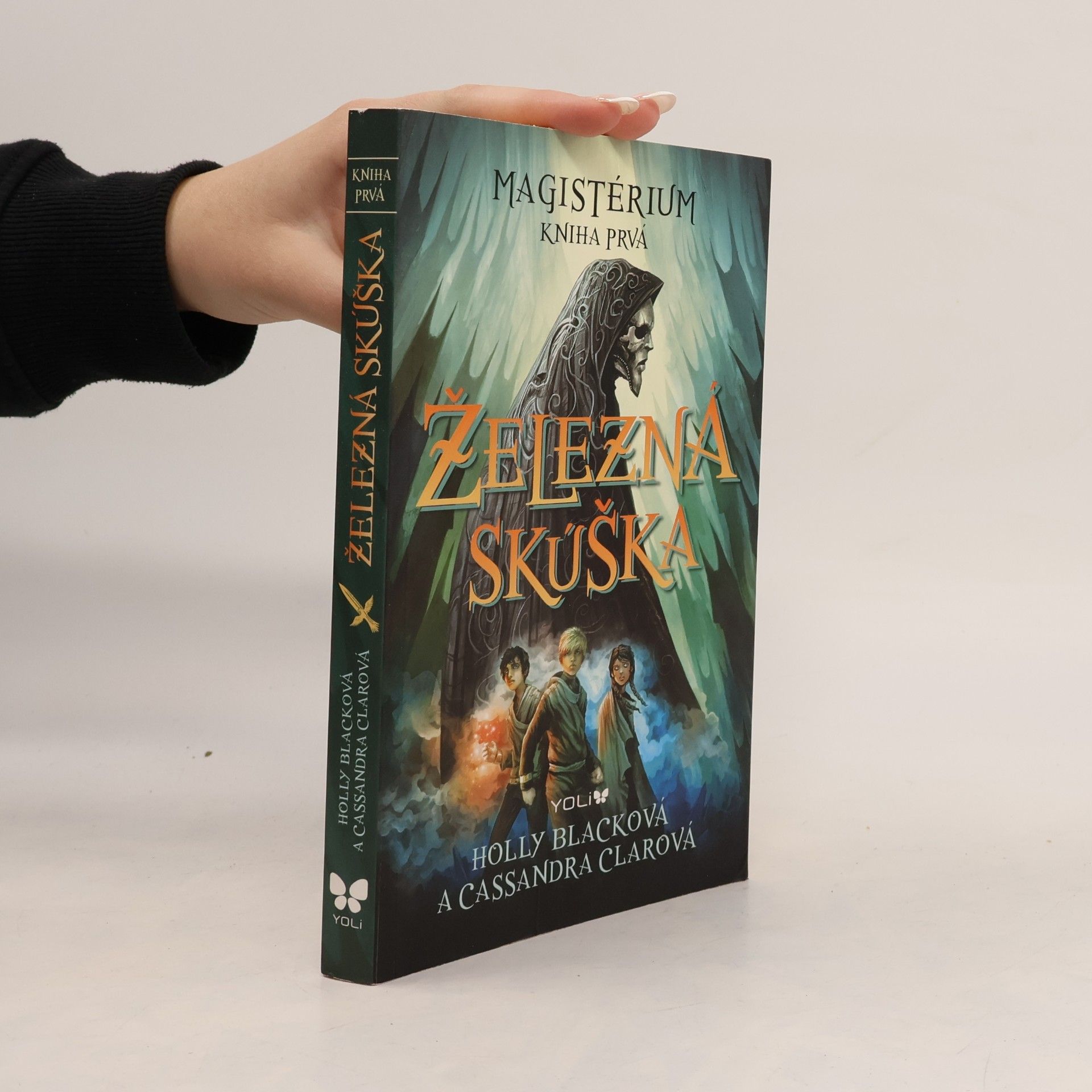 Holly Black Železná skúška