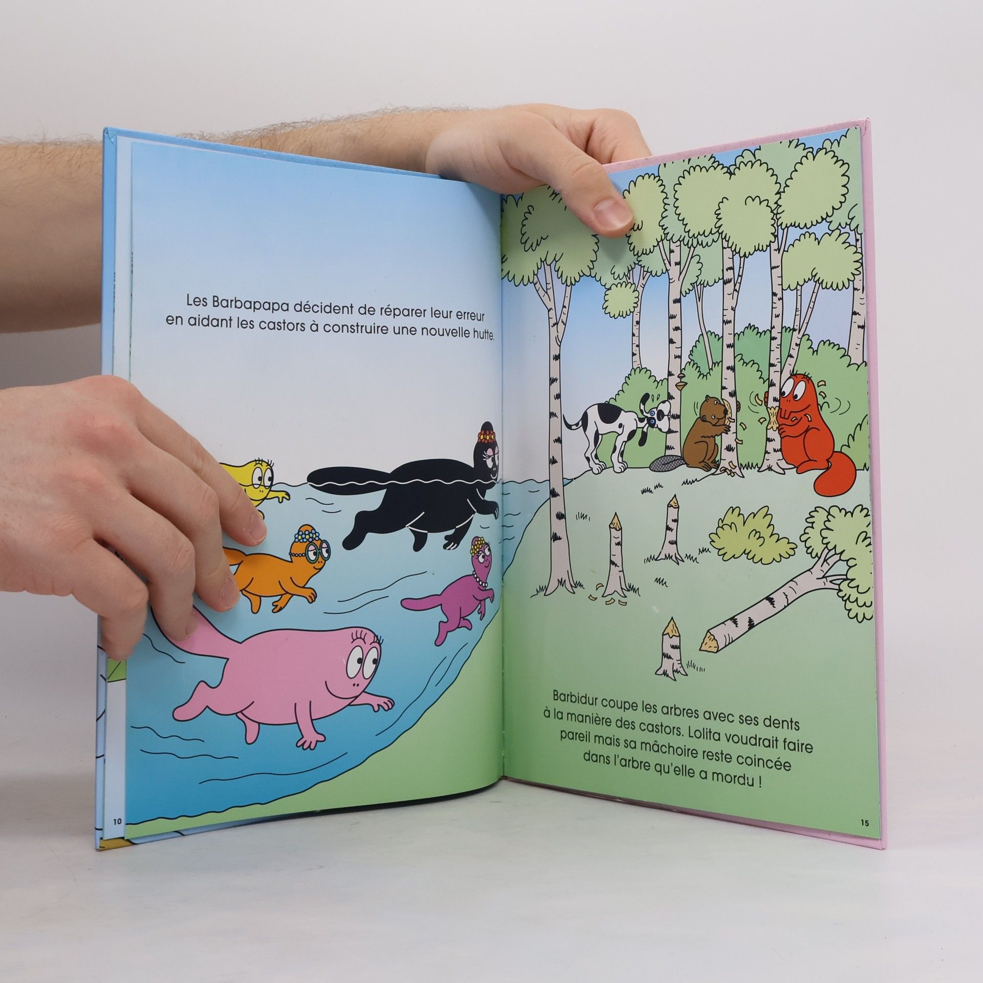 Autorenkollektiv Barbapapa. Les Castors