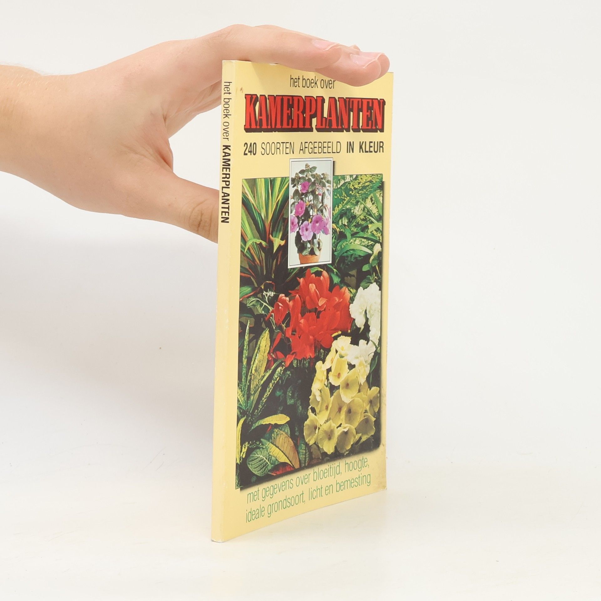 Auteurscollectief Het boek over kamerplanten