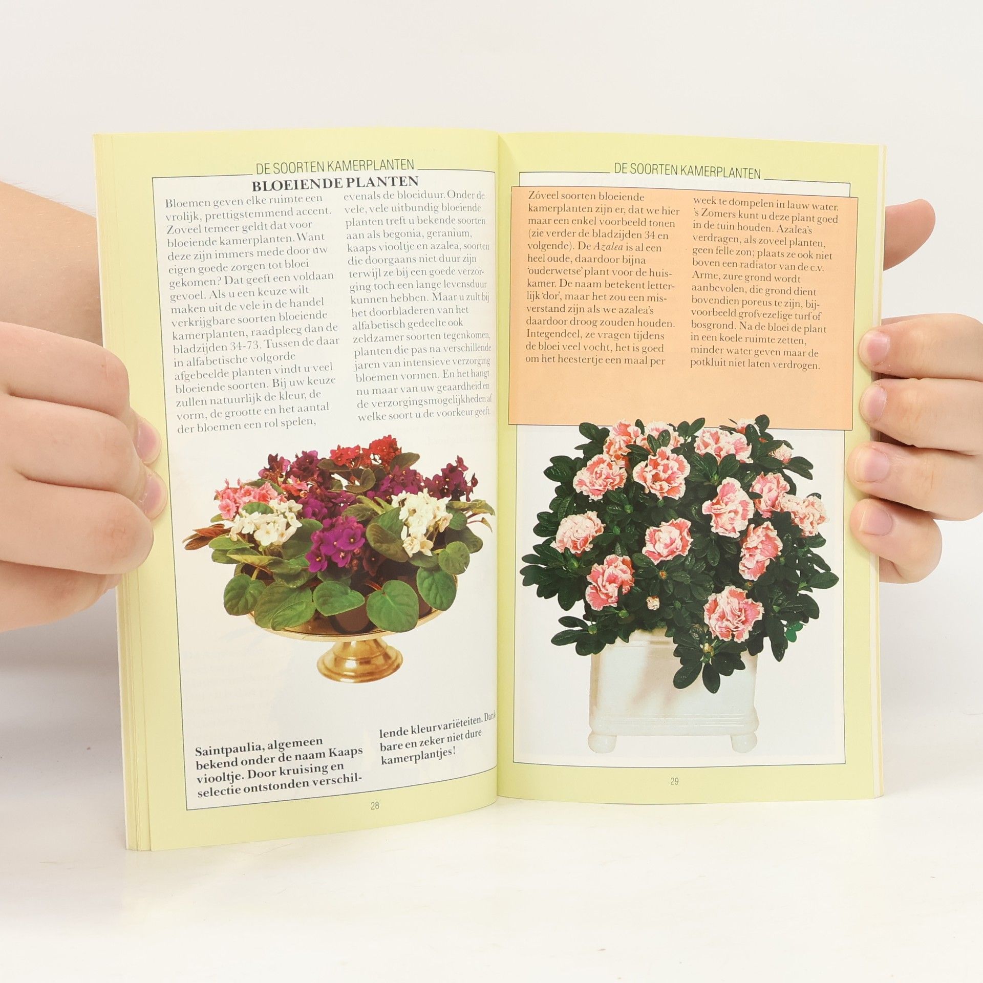 Kolektiv autorů Het boek over kamerplanten