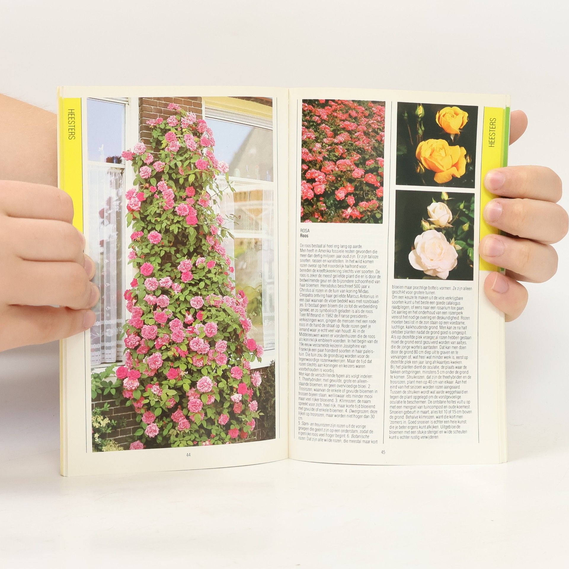 Rob van Maanen Het boek over Bomen & Heesters