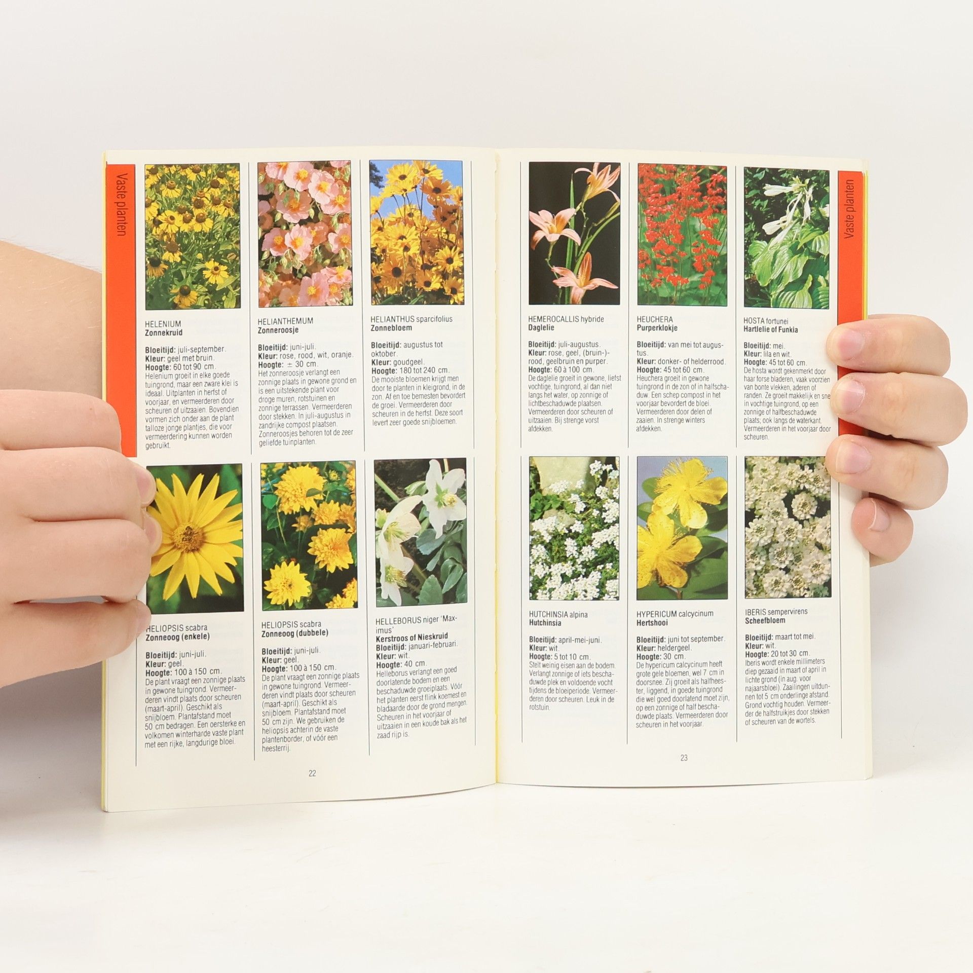 A. van Wieringen Het boek over tuinplanten